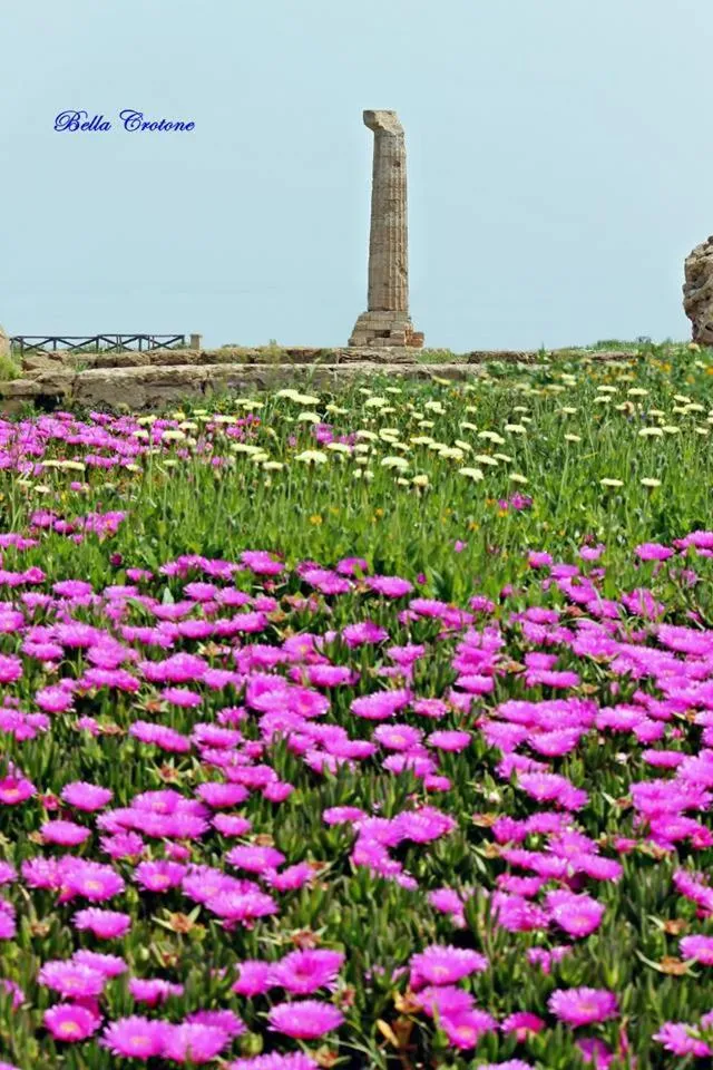 Property building in Isabel