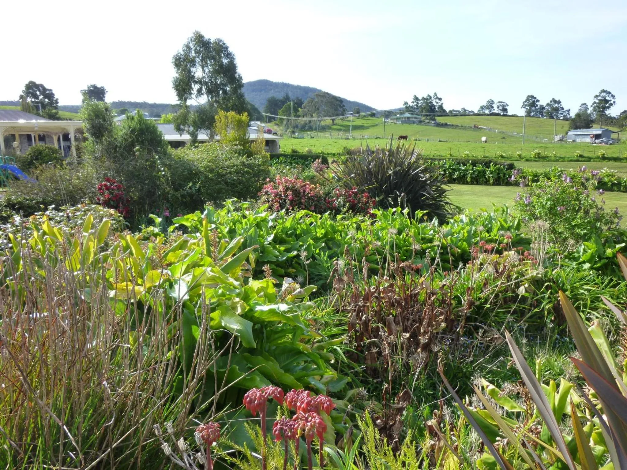 Garden in Port Arthur Villas