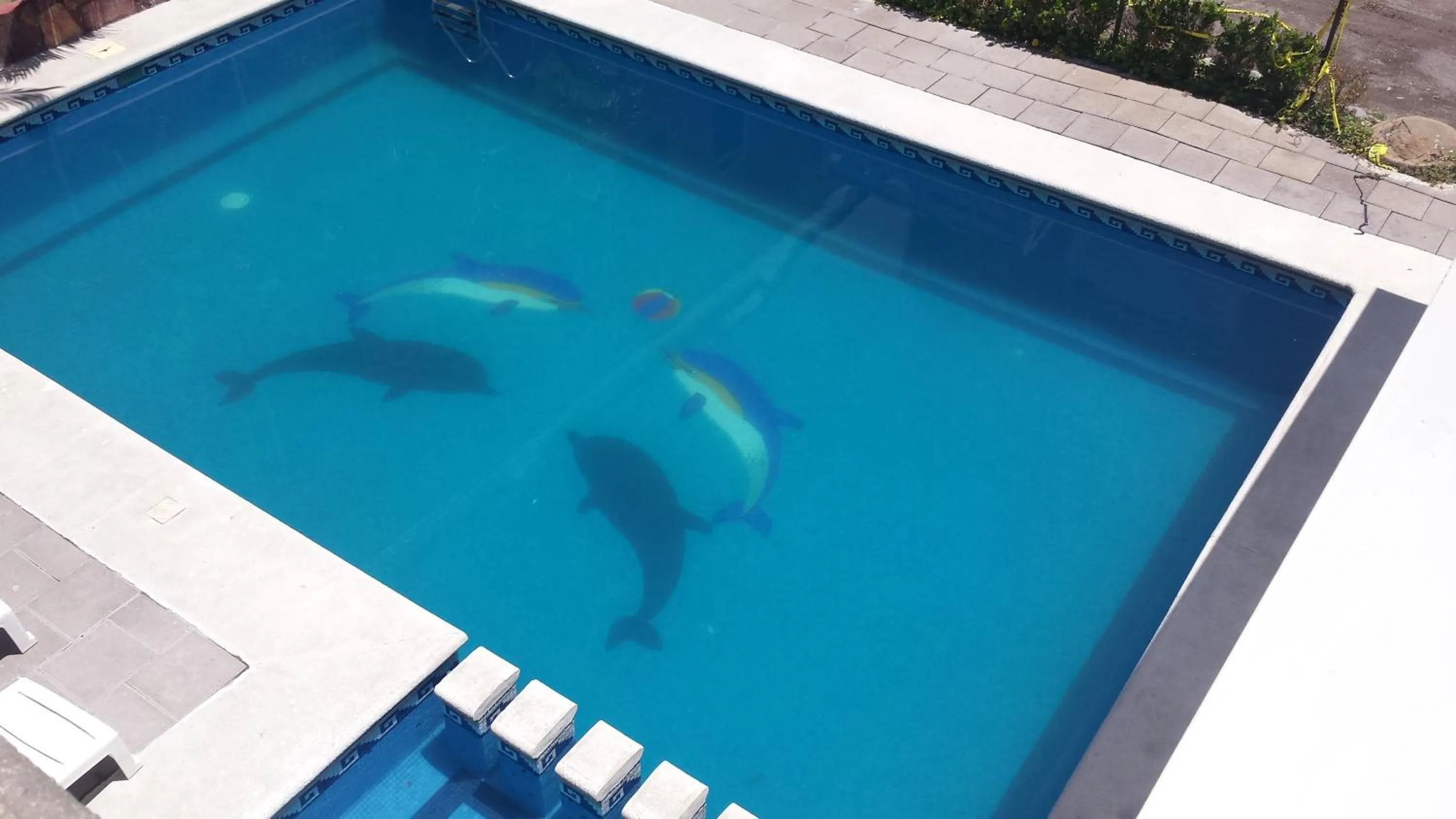 Hotel Posada La Pastrana