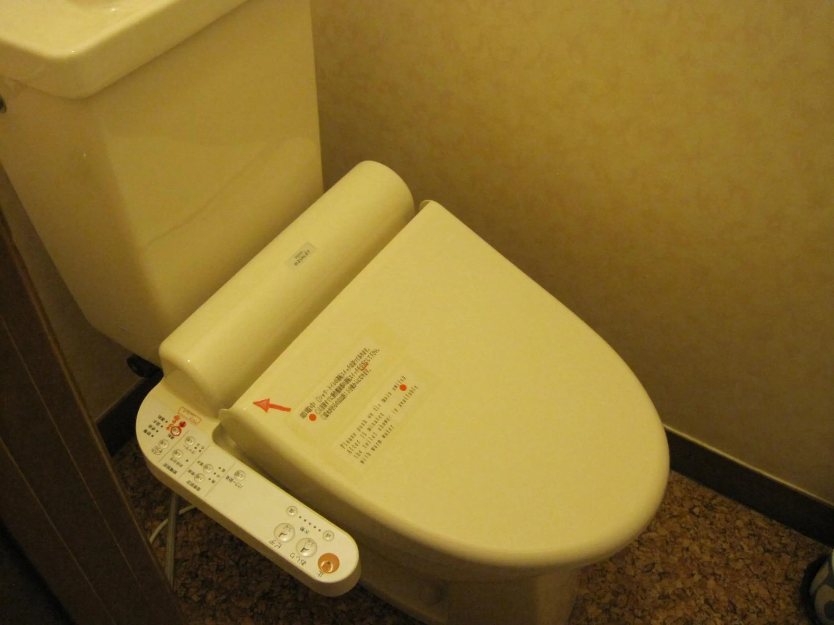 Toilet in Hotel Viva Nikko