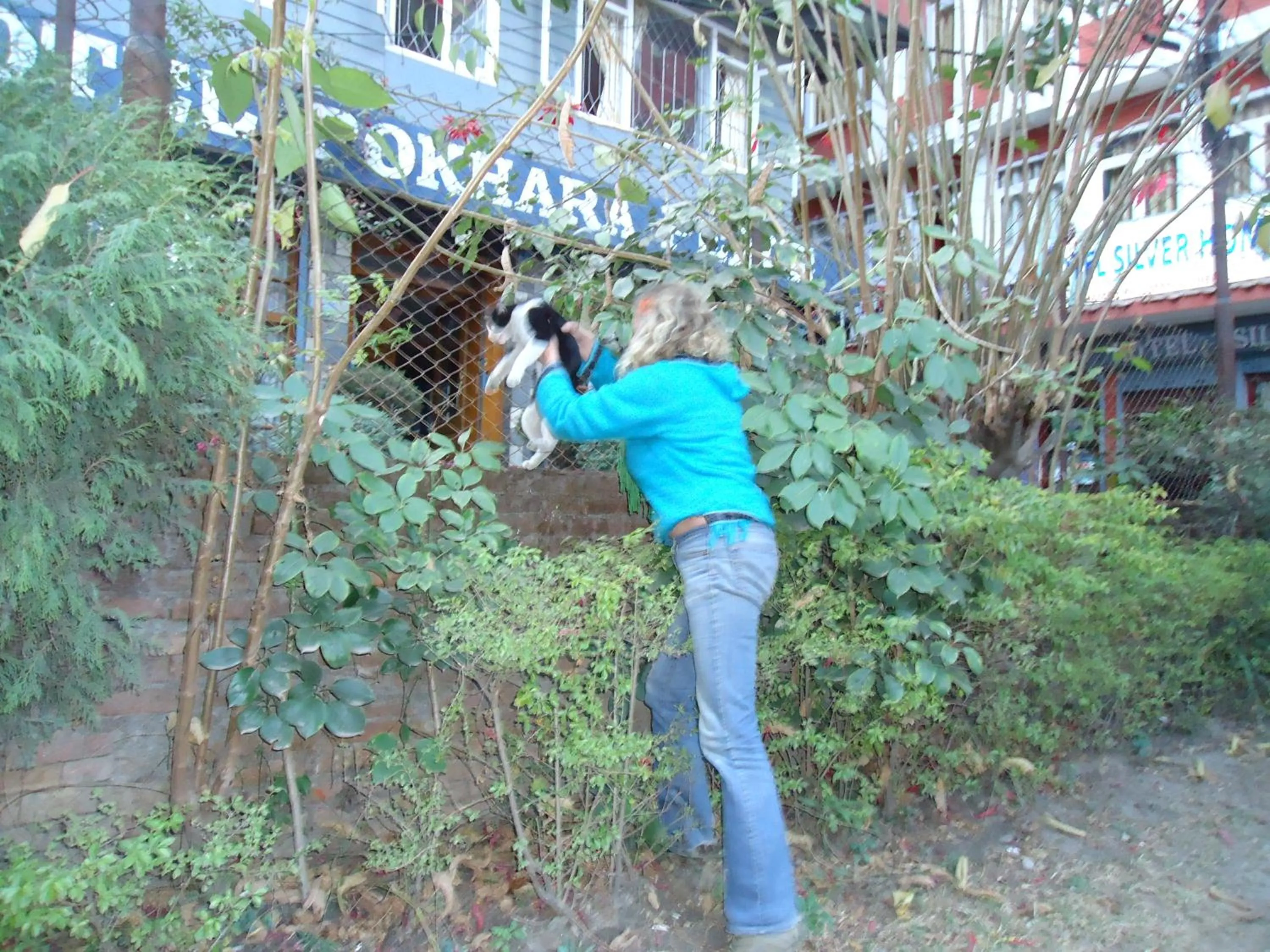 Garden in Hotel Discovery Inn