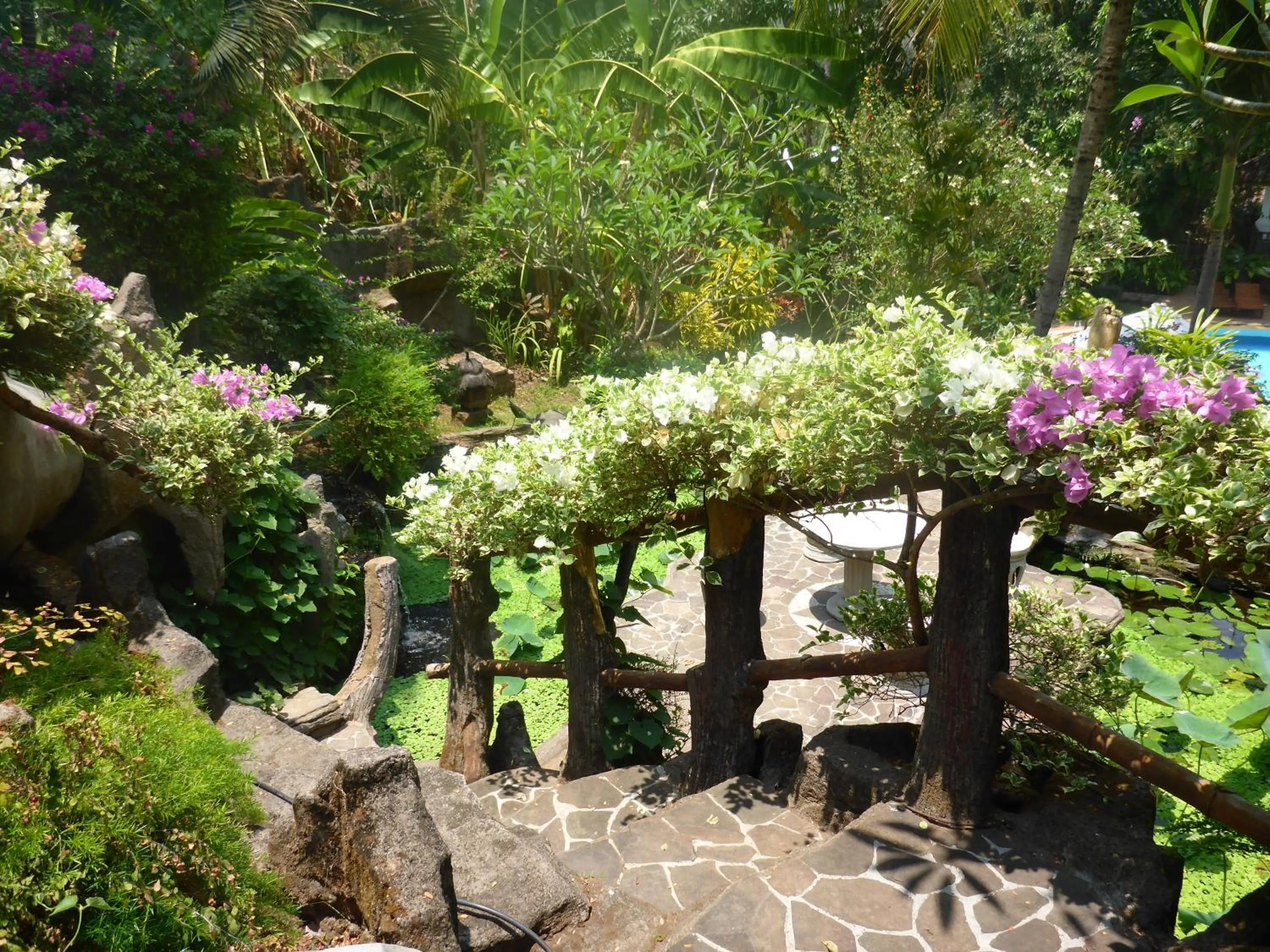 Garden in Gunung Paradis Retreat