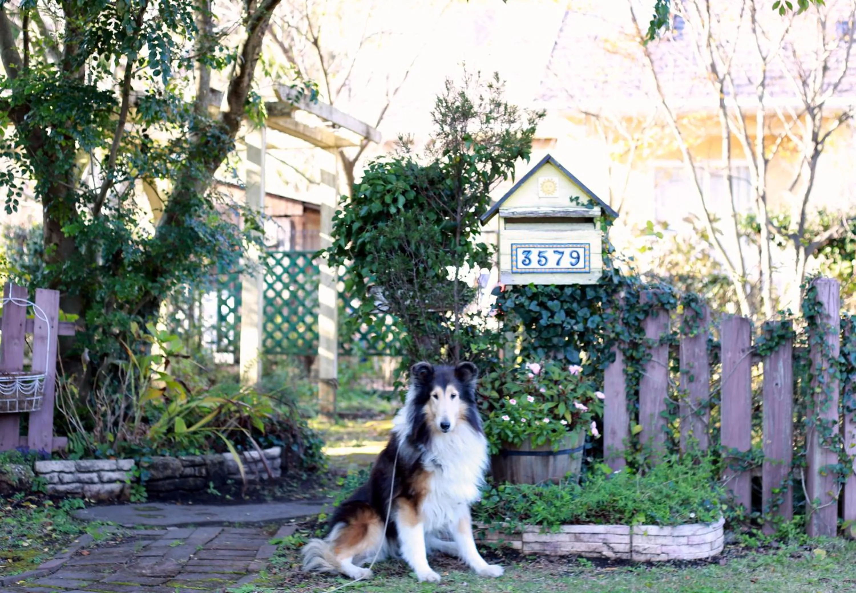 Garden in Lassy Condominium