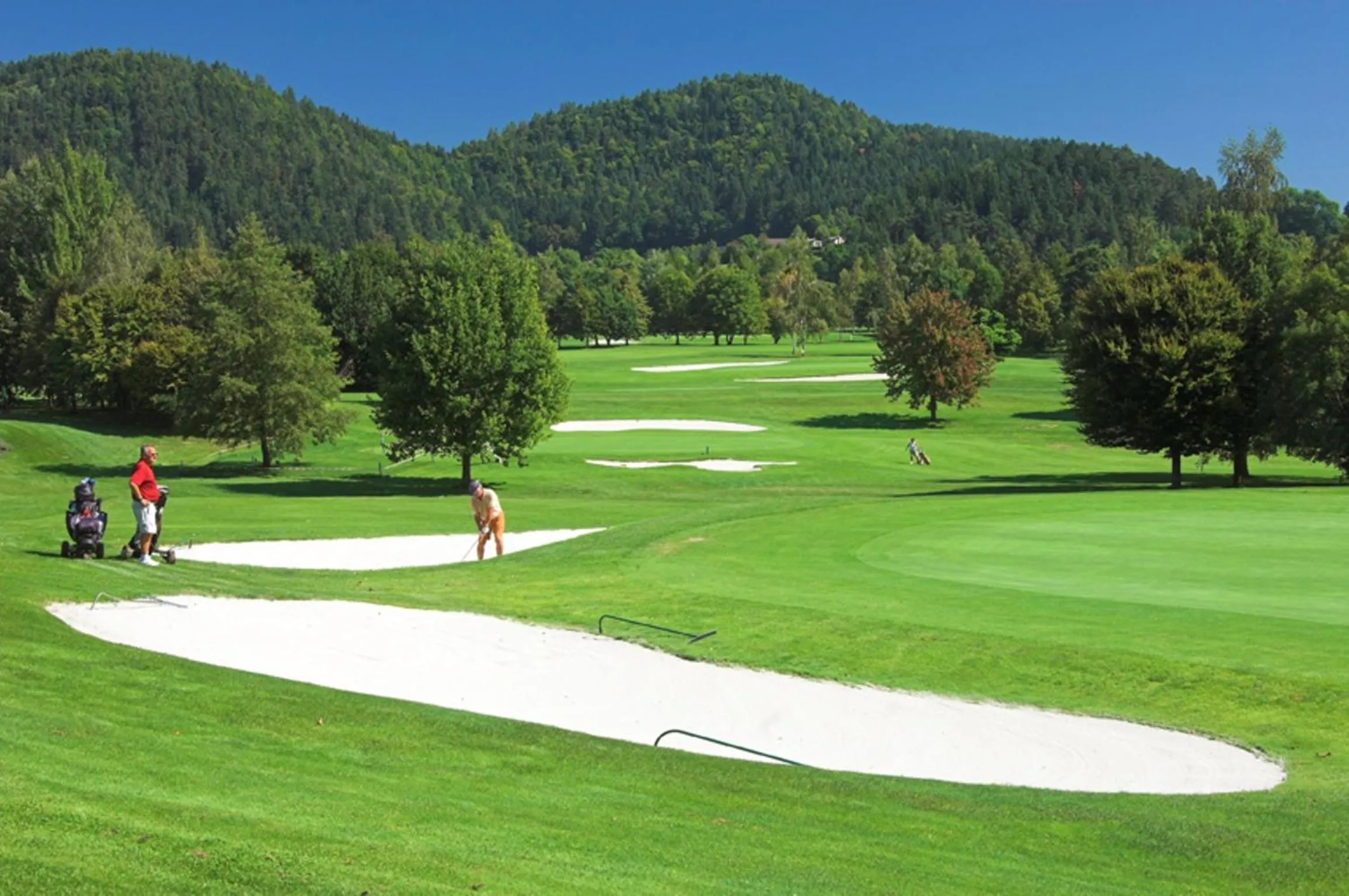 Area and facilities in Terrassenhotel Reichmann