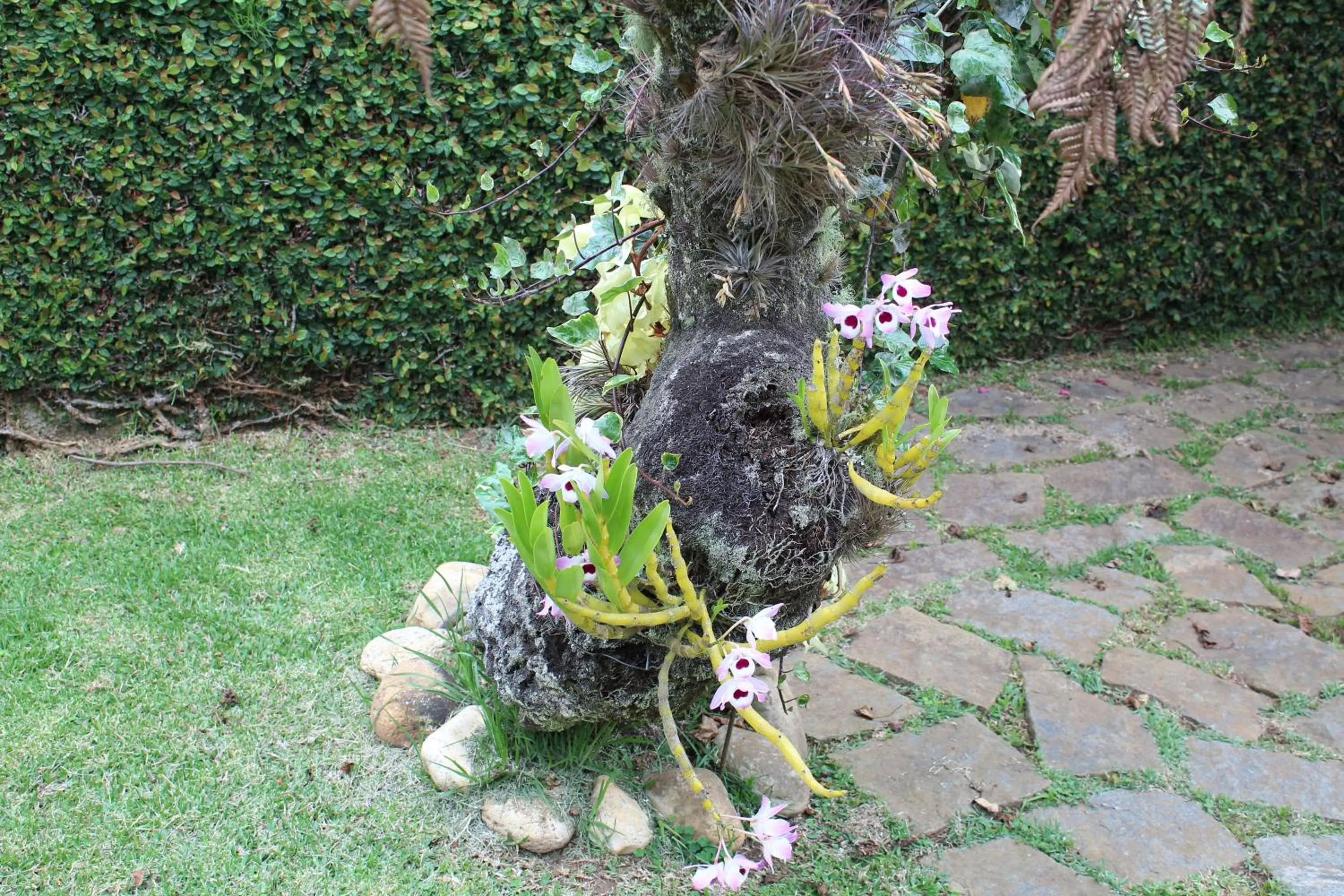 Casa Aconchegante no Capivari