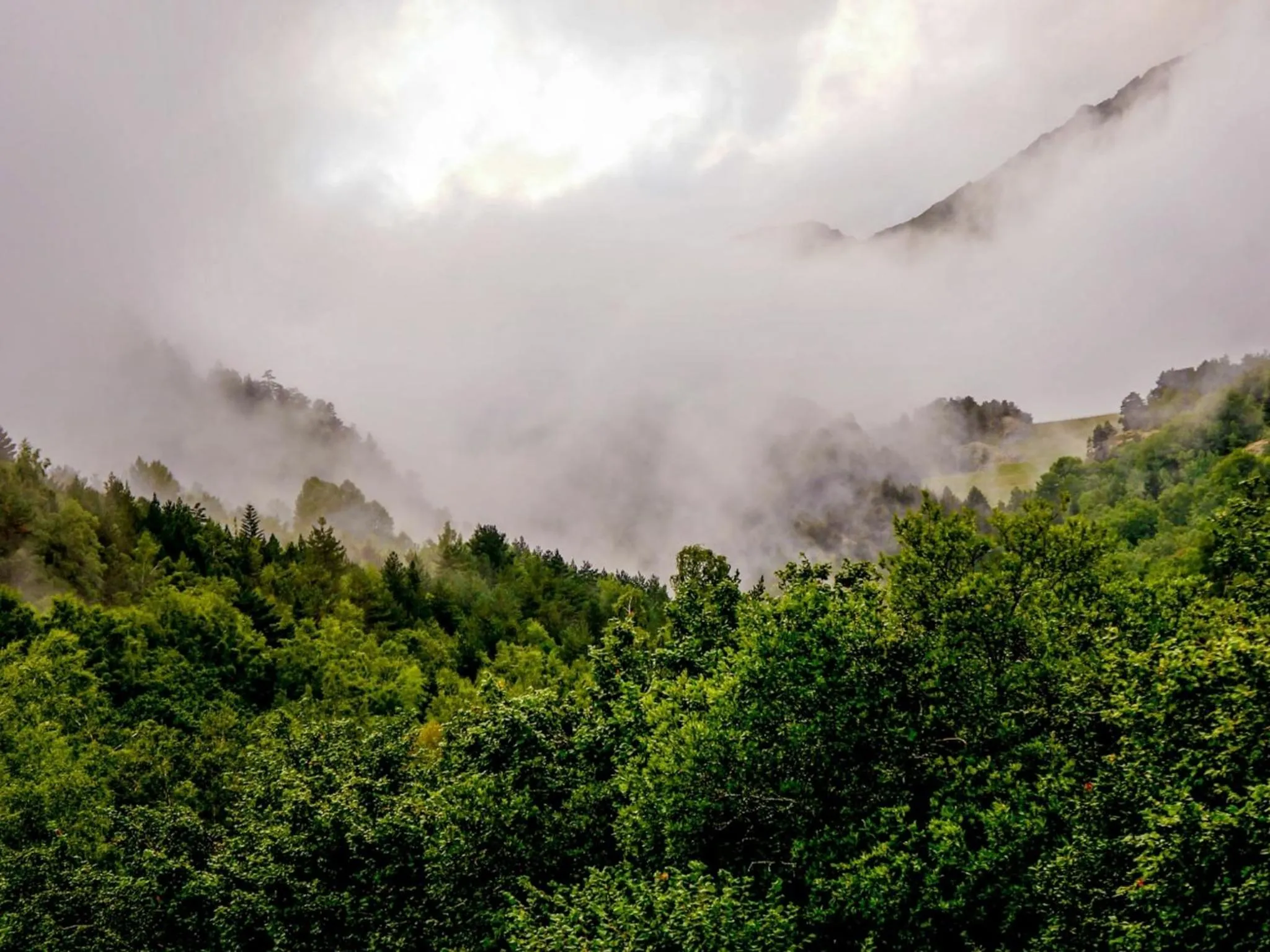 Mountain view in ApartHotel RIALB