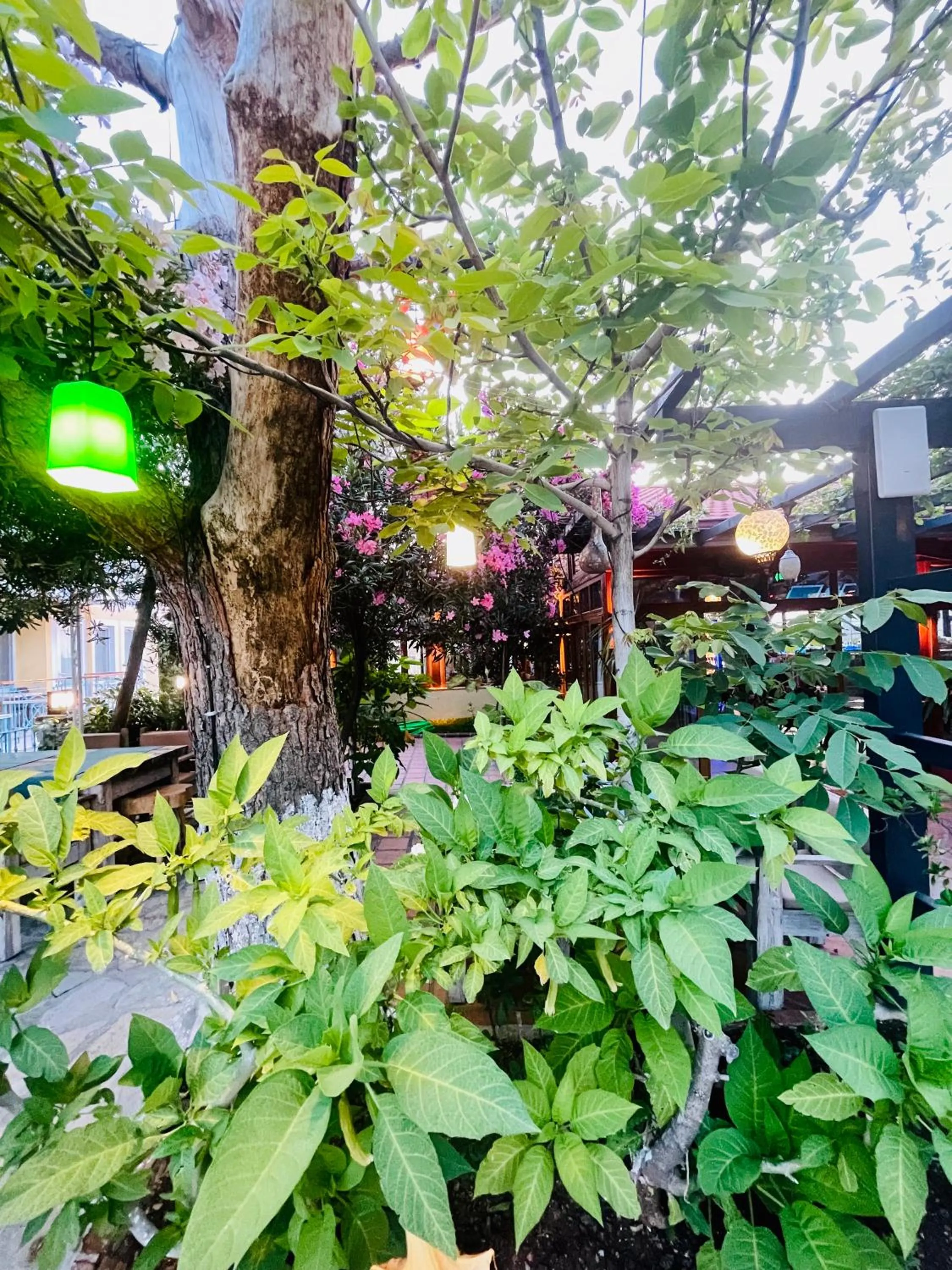 Property building in Mountain Valley Oludeniz