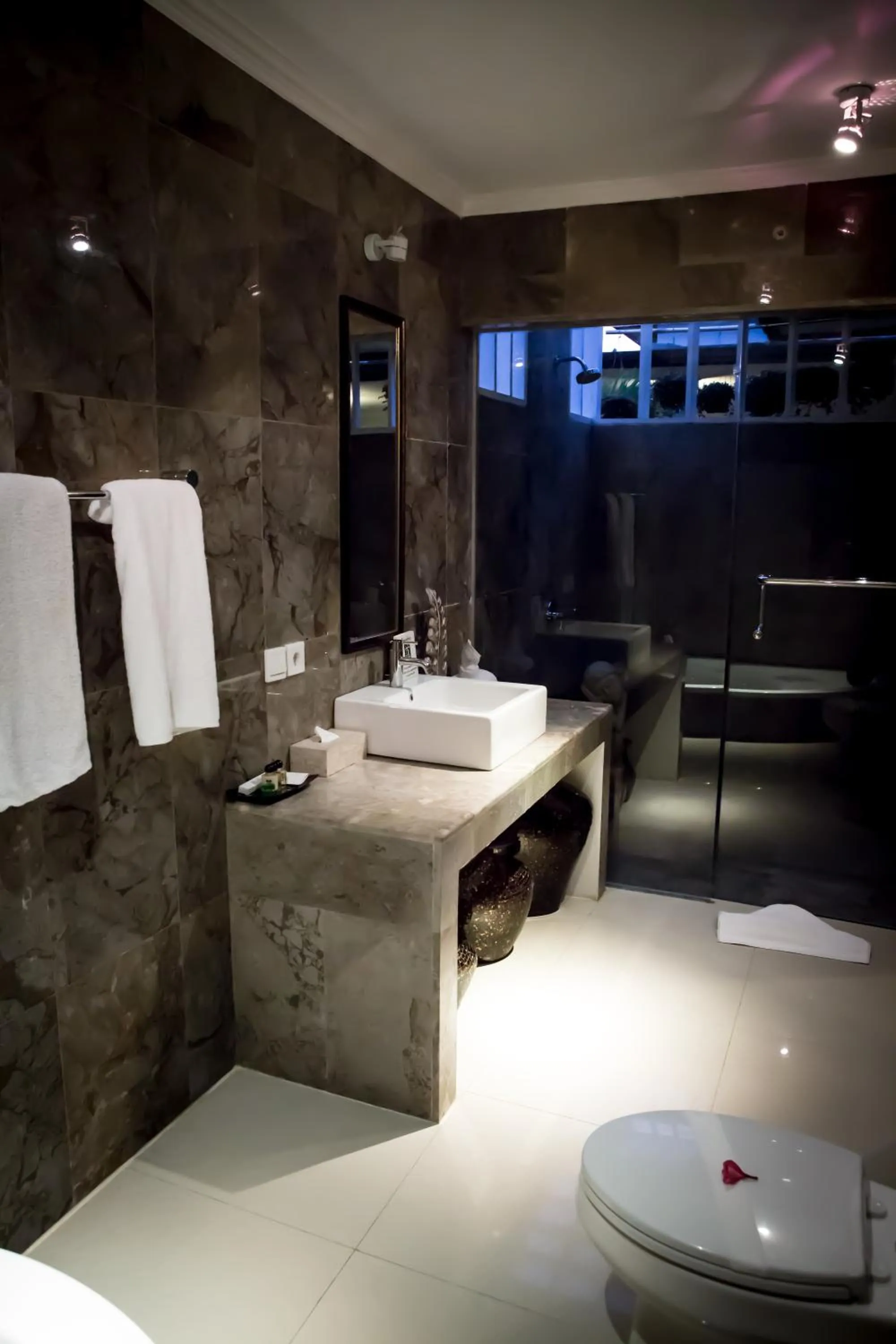 Bathroom in Kelapa Lovina Beach Villa