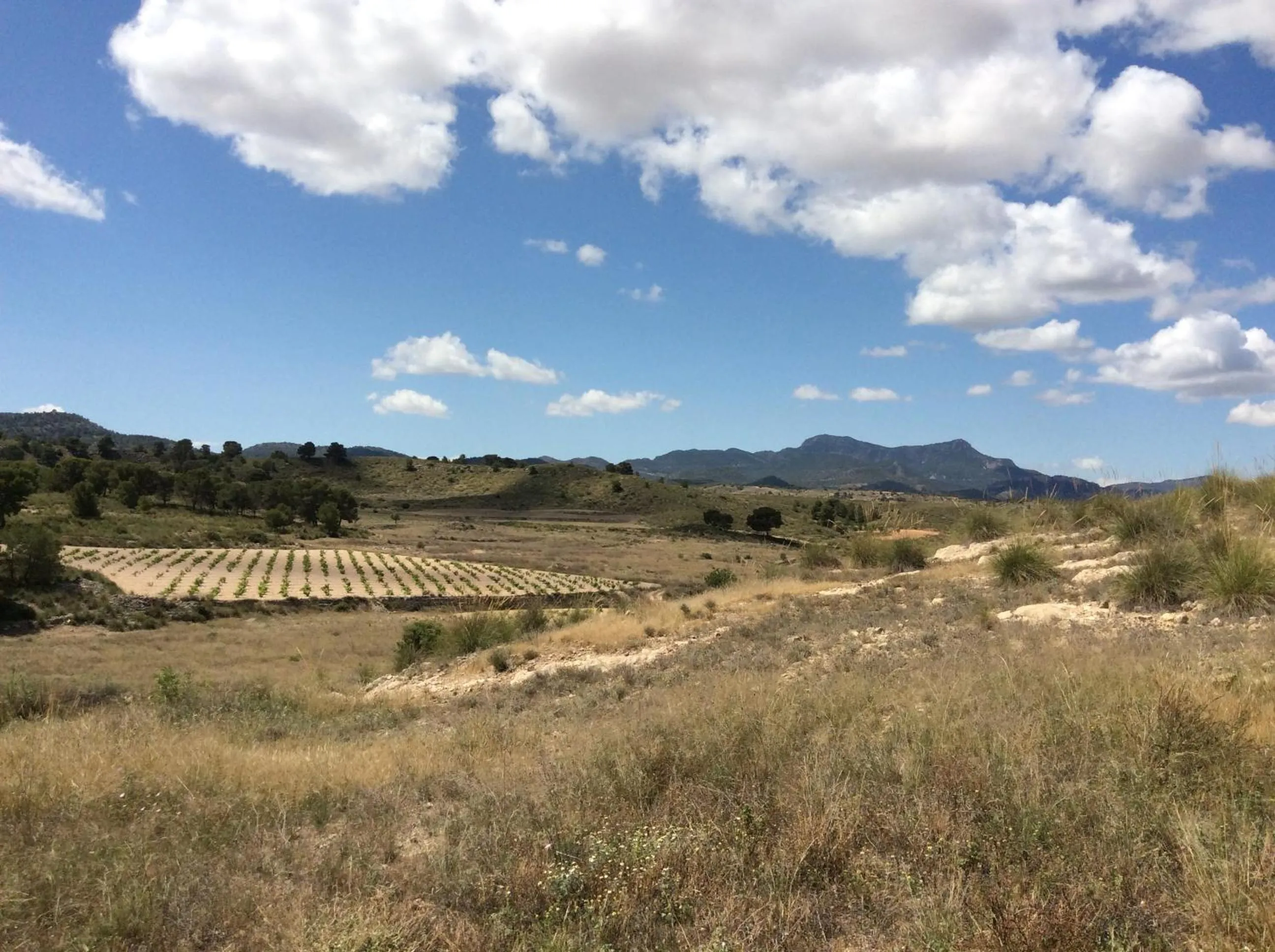 Natural landscape in Los Cuatro Vientos B&B
