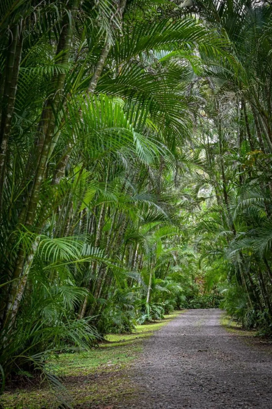 Lands in Love Hotel and Resort