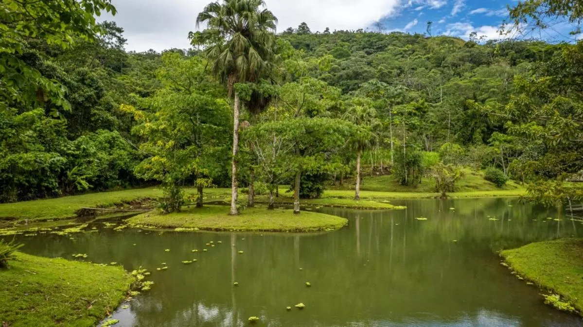 View (from property/room) in Lands in Love Hotel and Resort