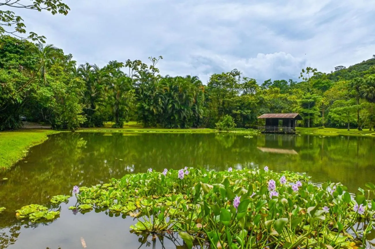 Lands in Love Hotel and Resort