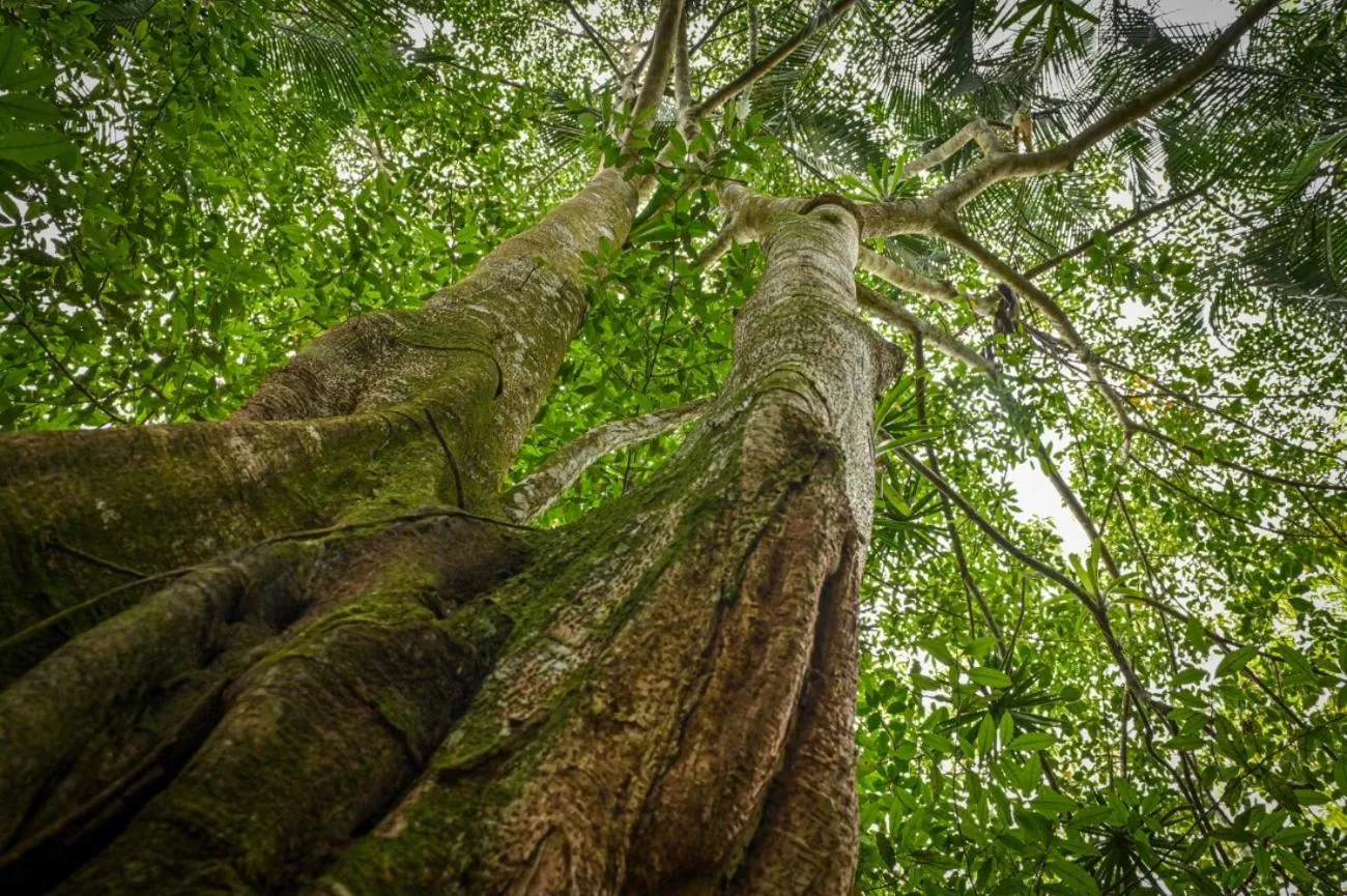 Lands in Love Hotel and Resort