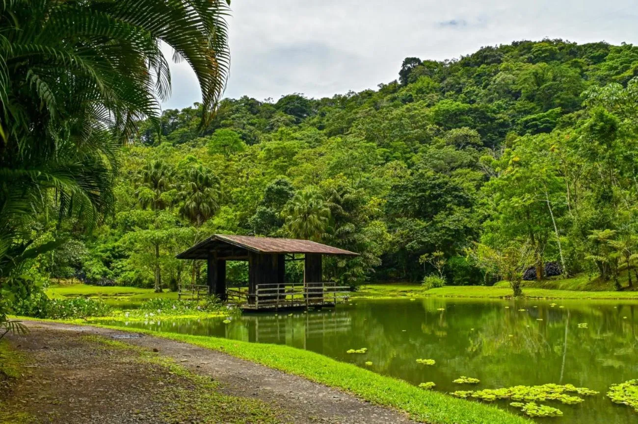 Lands in Love Hotel and Resort