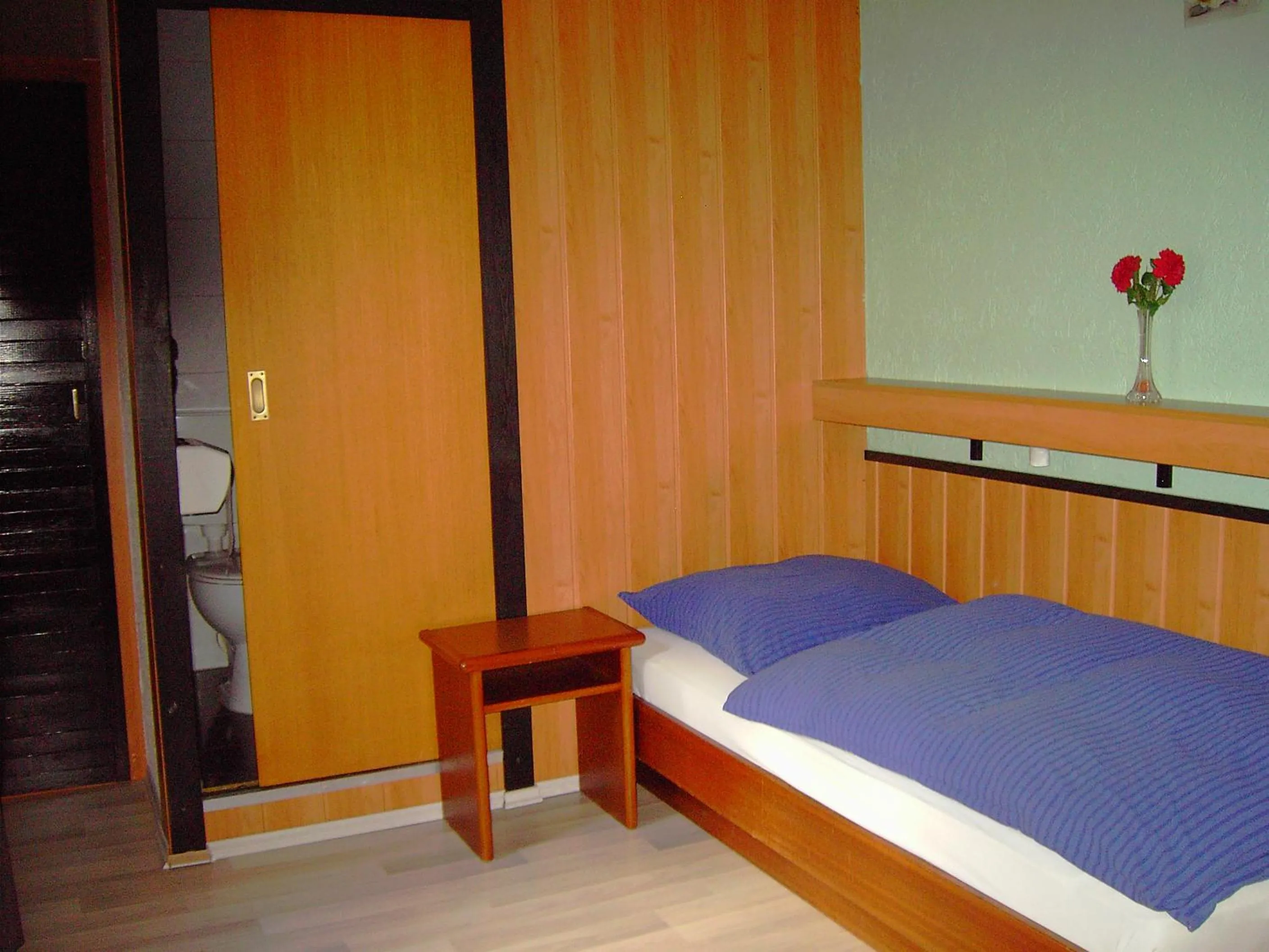 Single Room with Bathroom - single occupancy in Hessisches Haus