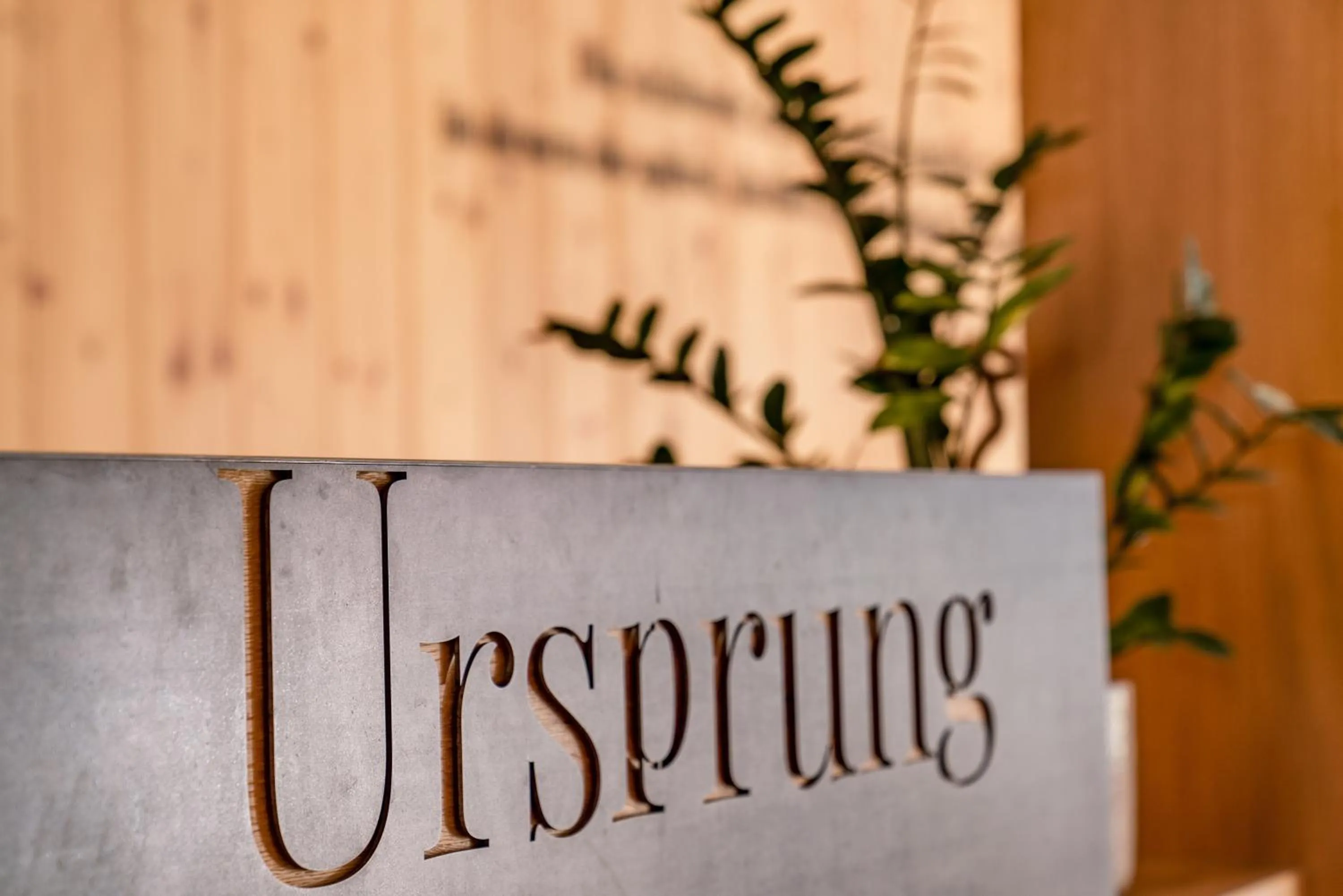 Lobby or reception in Aparthotel Ursprung