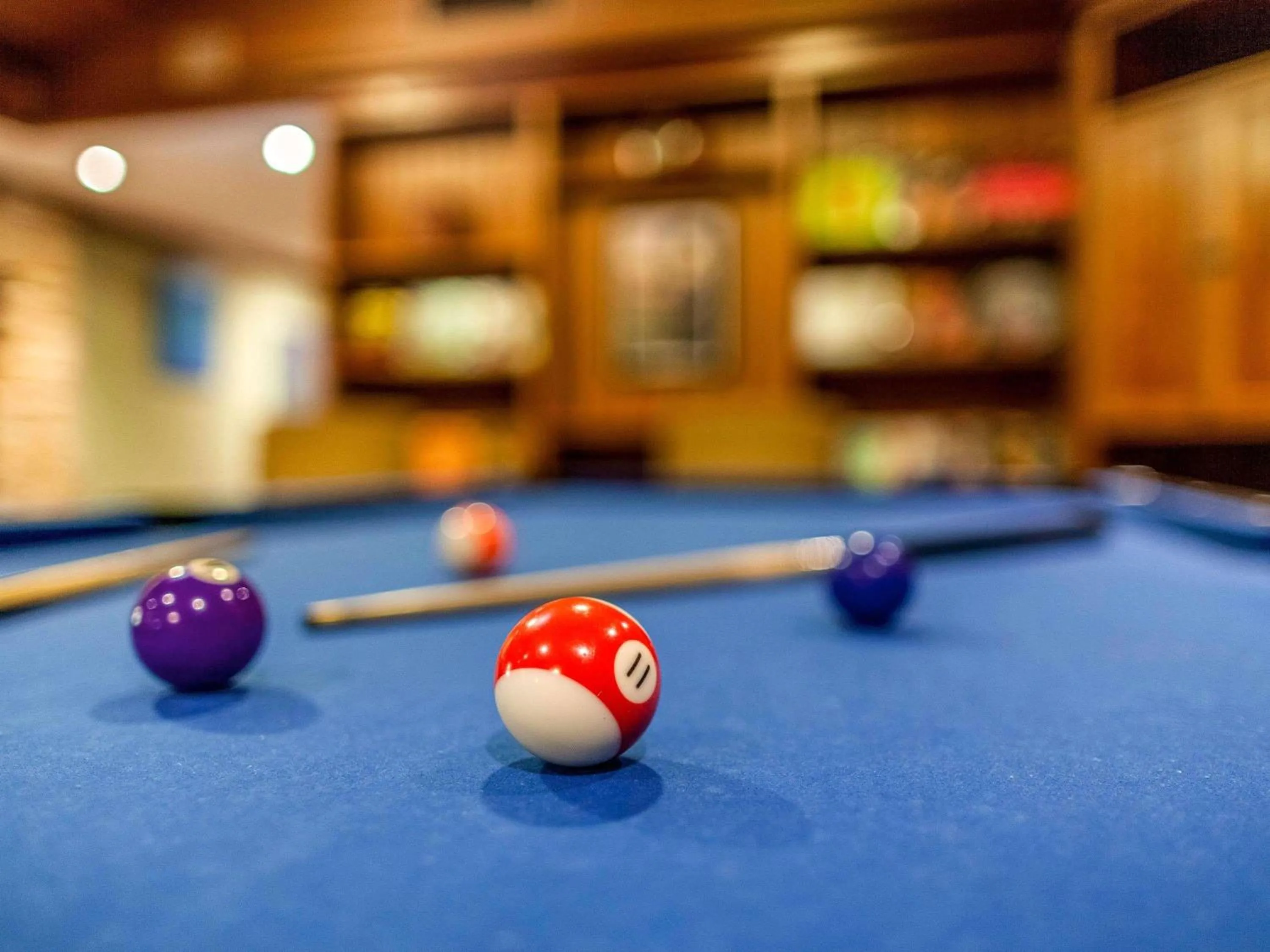 Lounge or bar in Mercure Hunter Valley Gardens