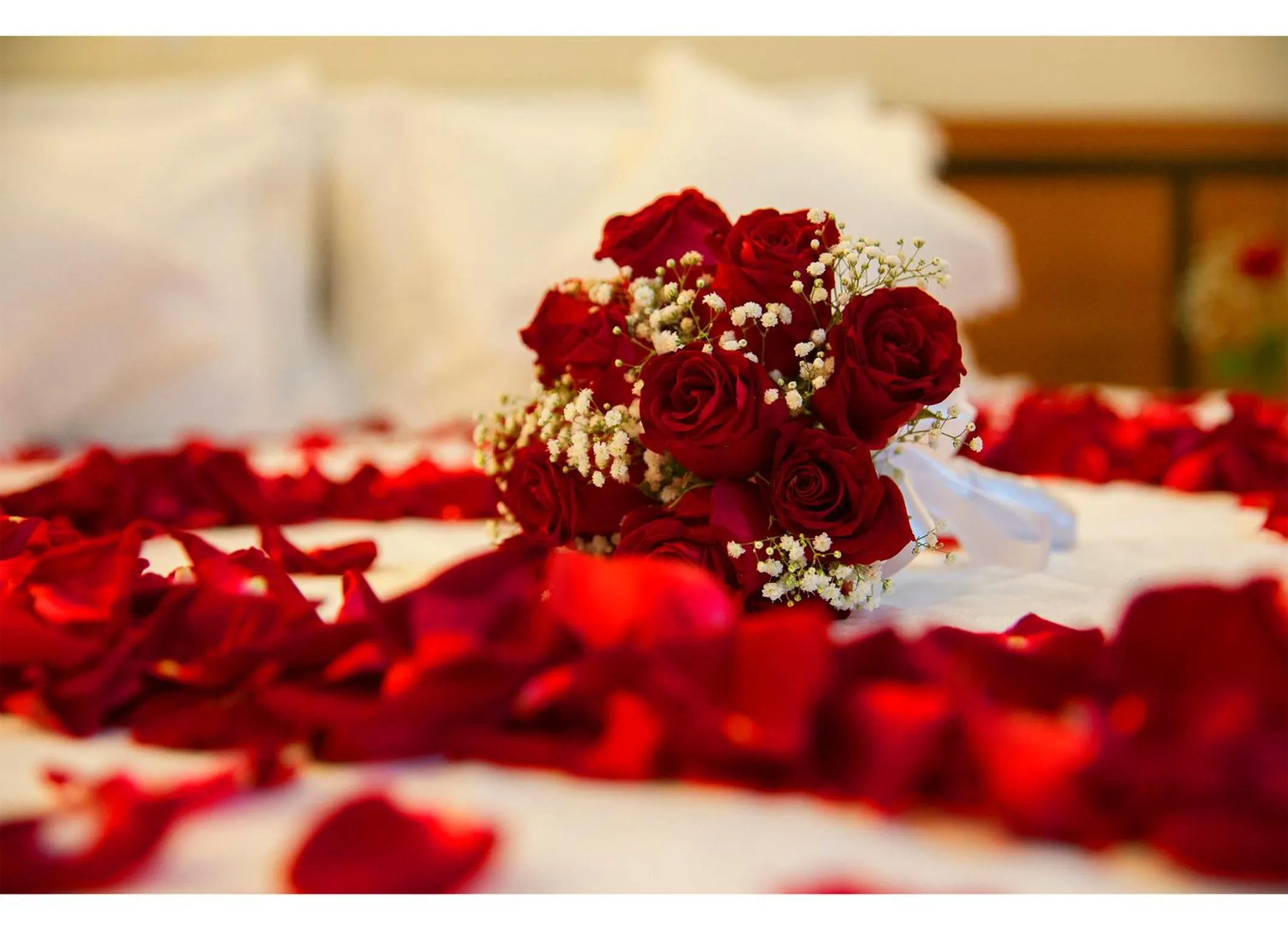 Bed in Leques Brasil Hotel Escola