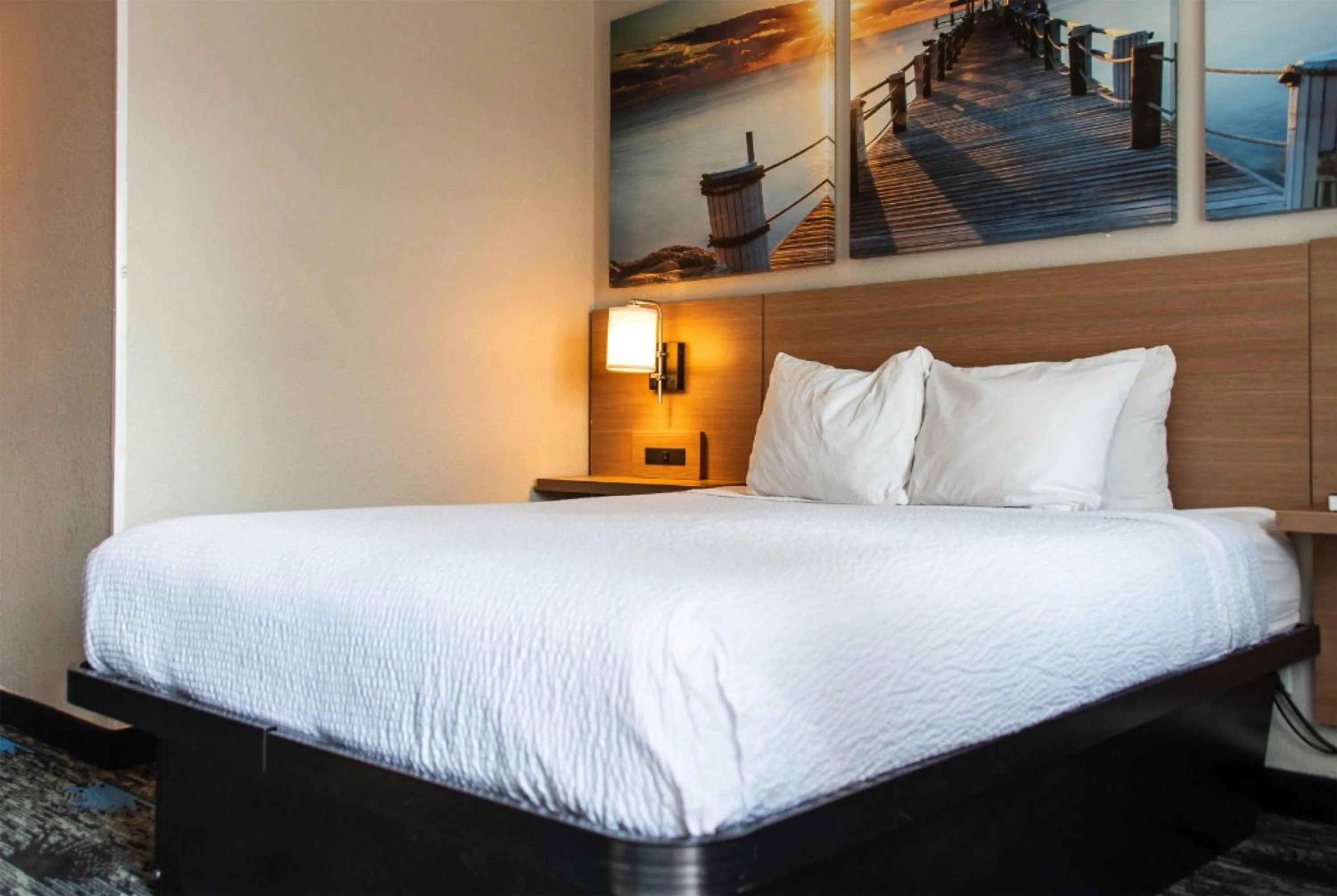 Photo of the whole room, Bed in Days Inn by Wyndham Troy