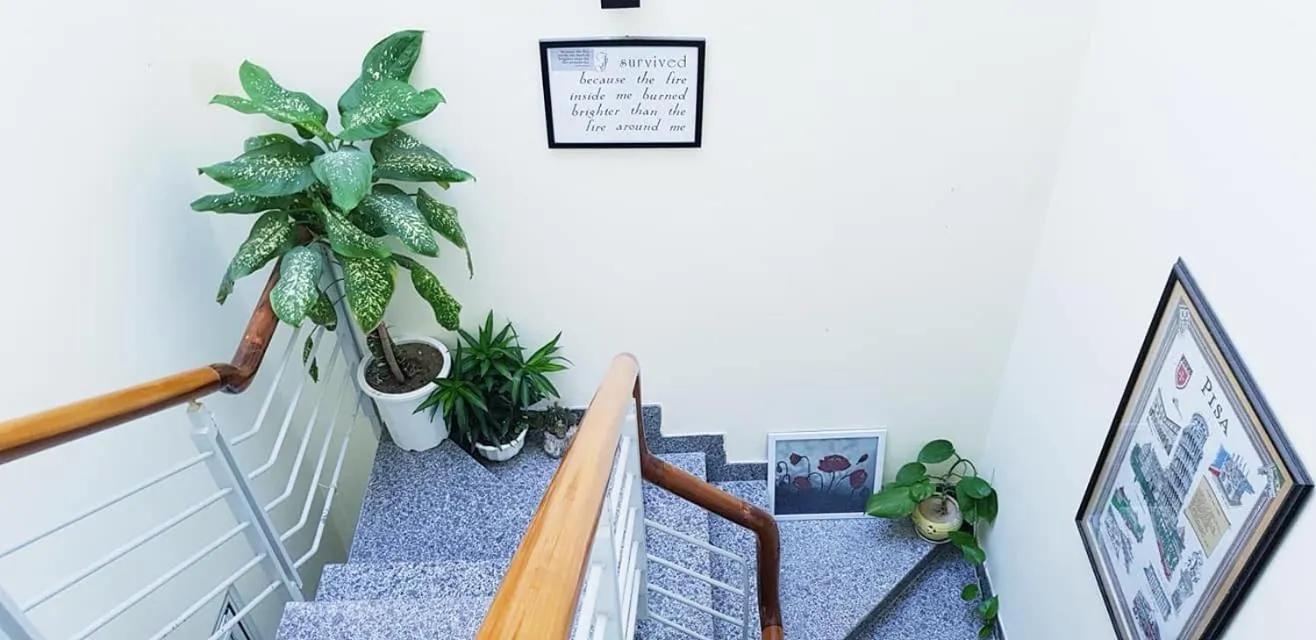 Quy Nhon Homestay BnB