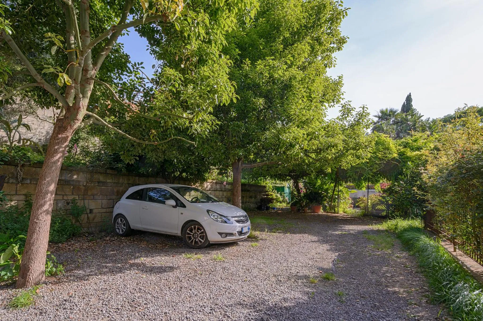 Garden in B&B Al Mare Sorrento