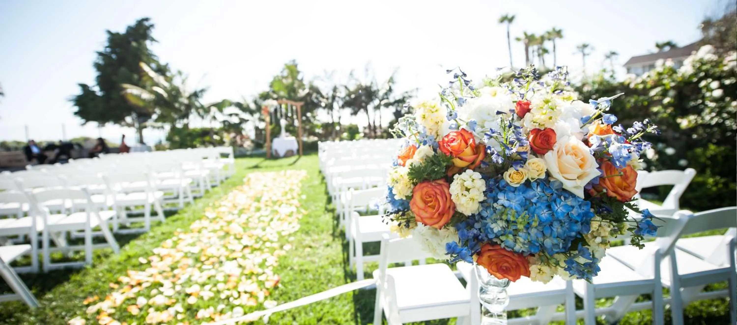Garden in Cape Rey Carlsbad Beach, A Hilton Resort & Spa