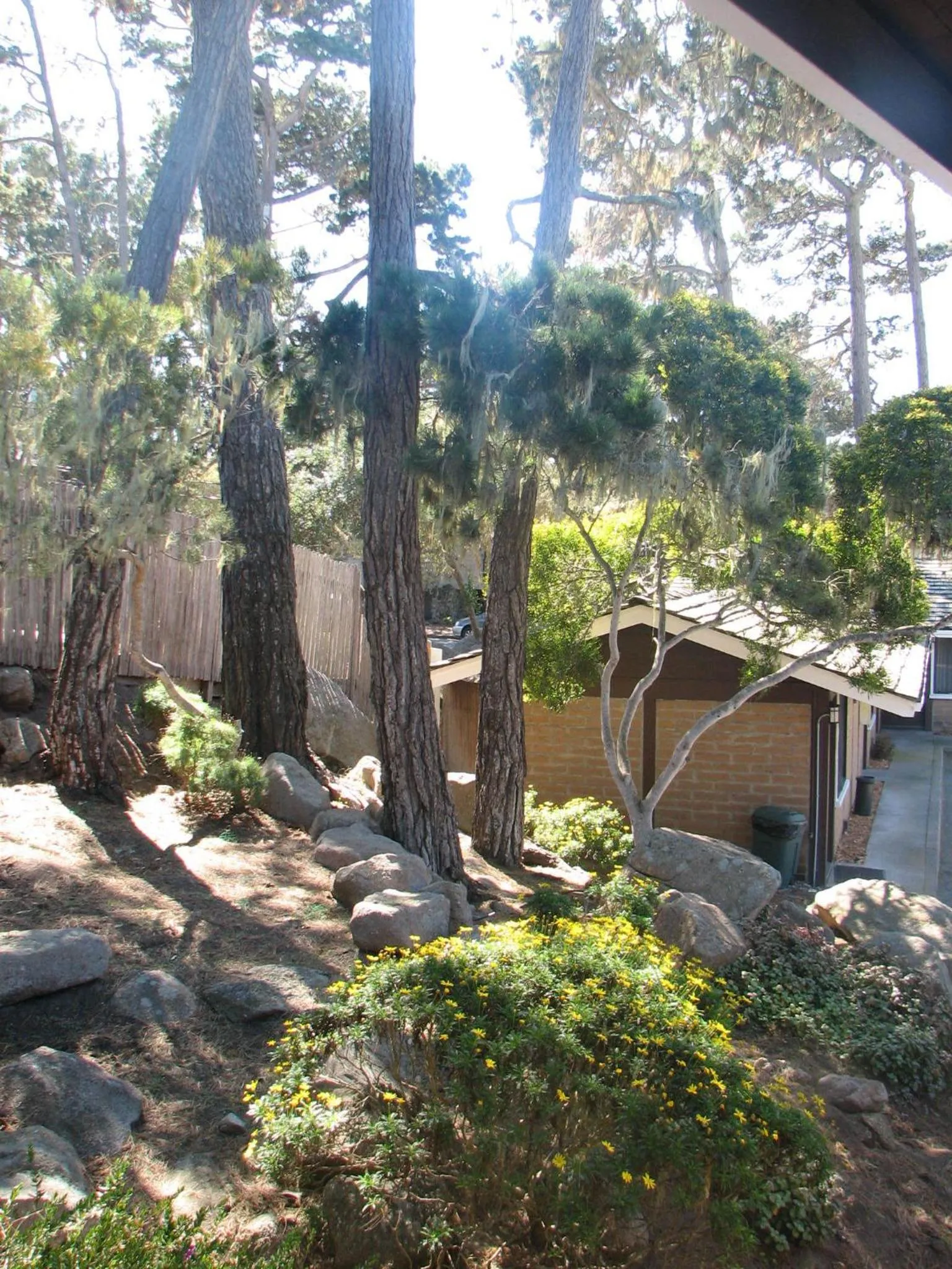 Garden in Lighthouse Lodge & Cottages