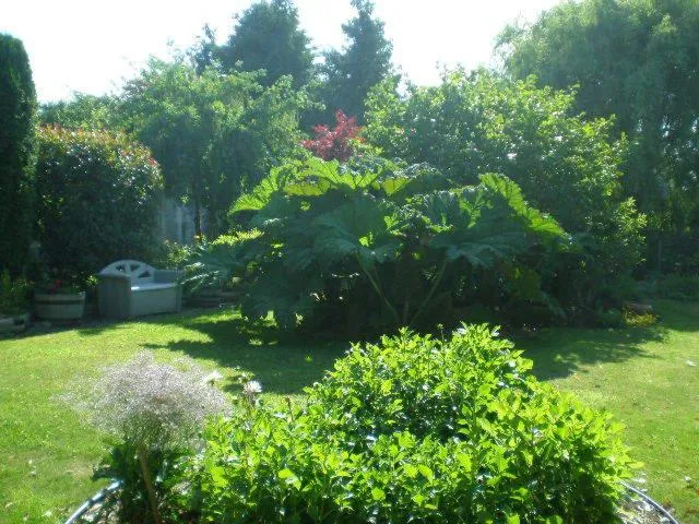 Garden in Island View B&B