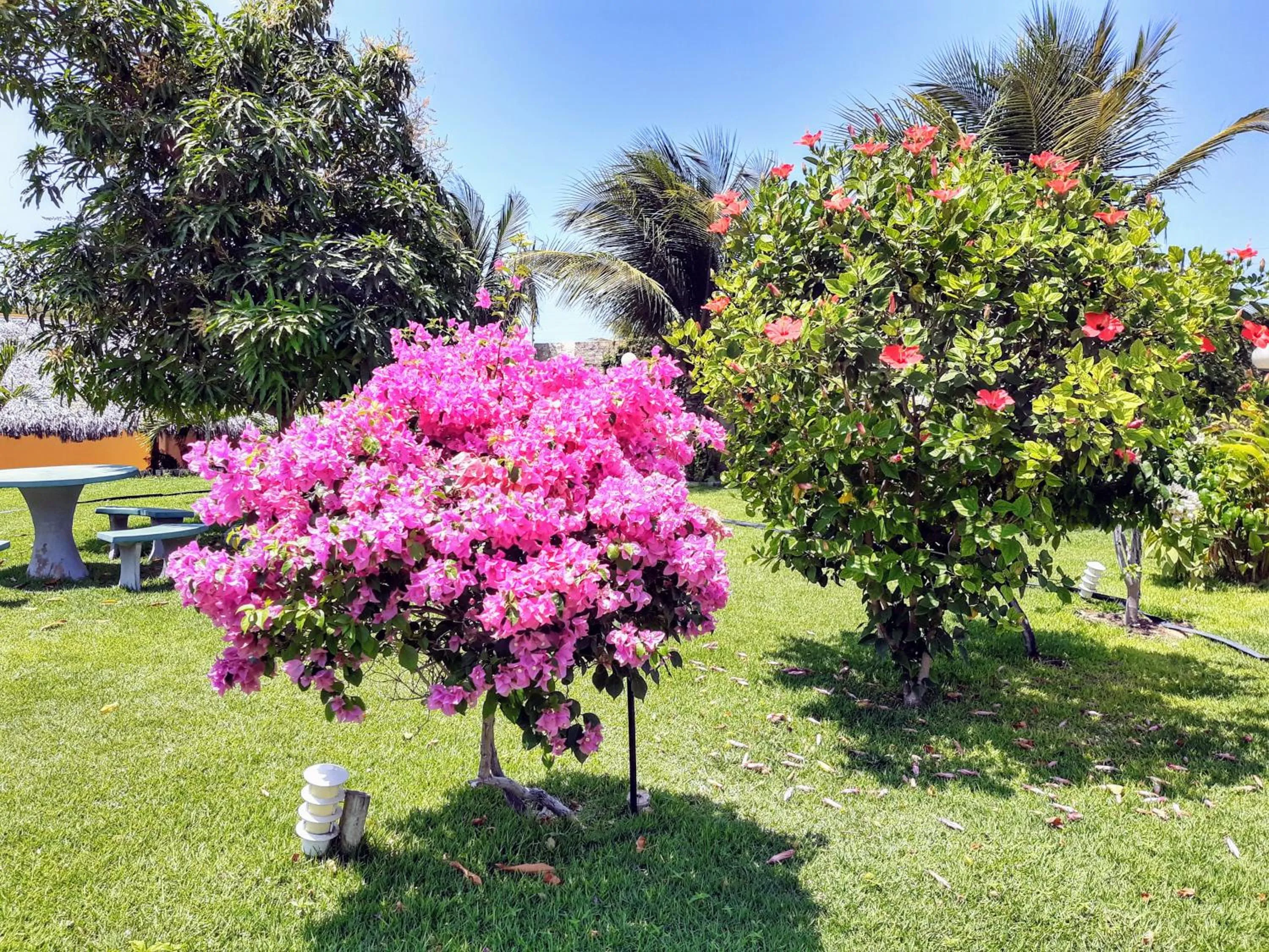 Garden view in Jardim dos Orixás