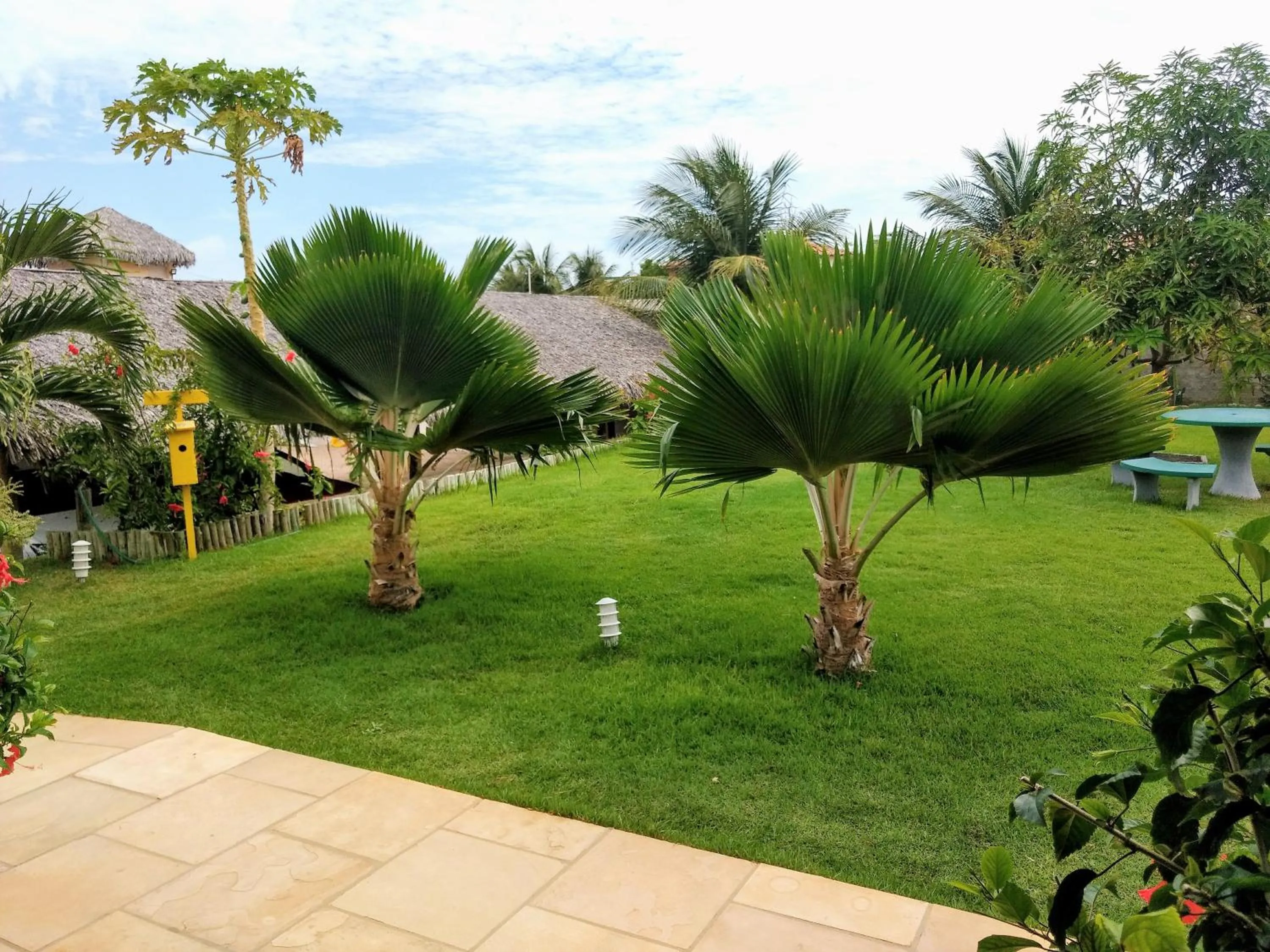 Garden in Jardim dos Orixás