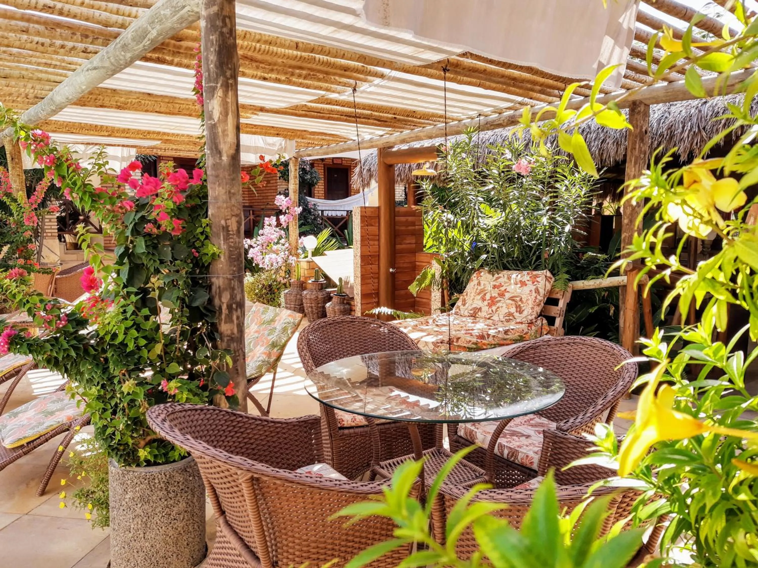 Garden view in Jardim dos Orixás