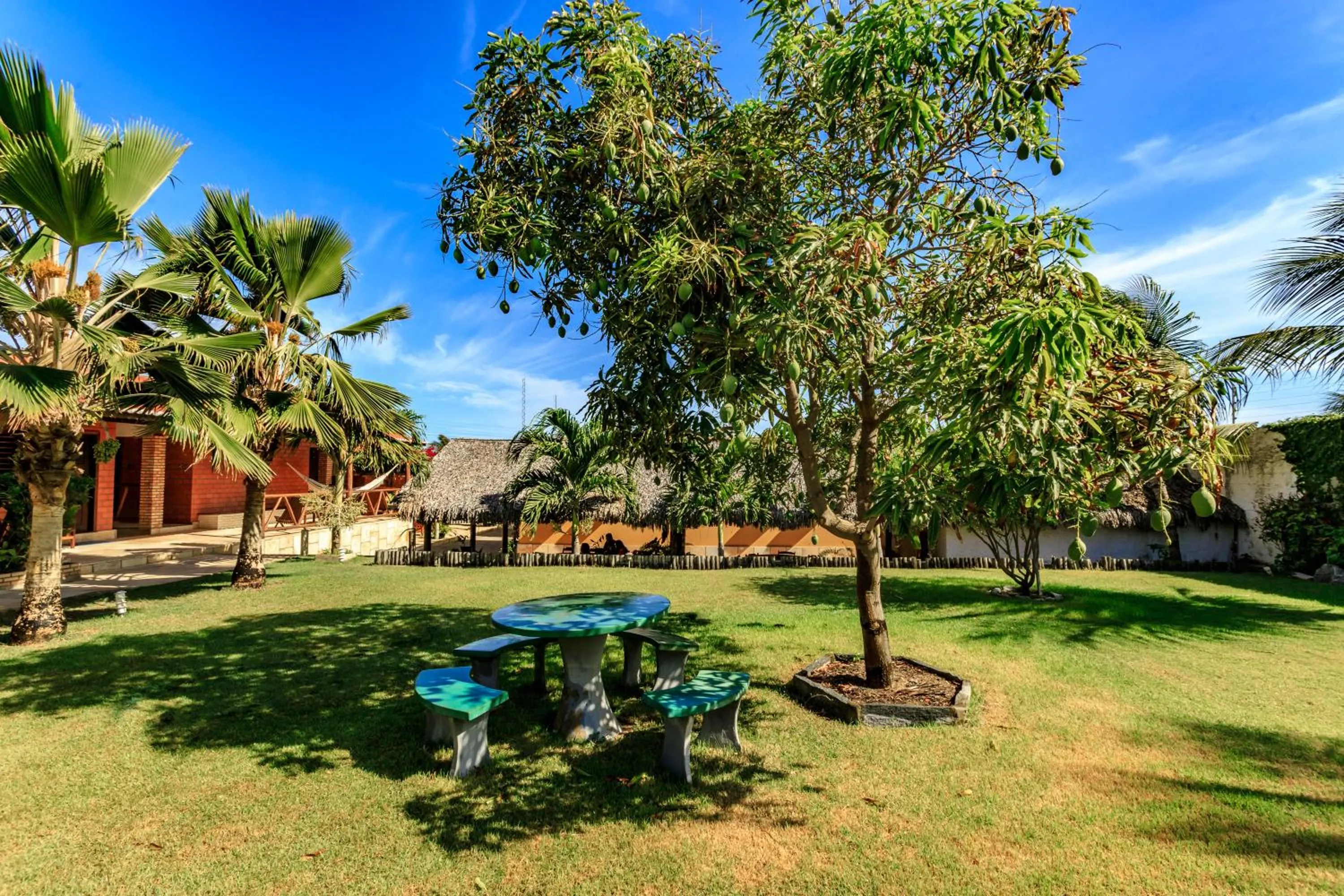 Garden in Jardim dos Orixás