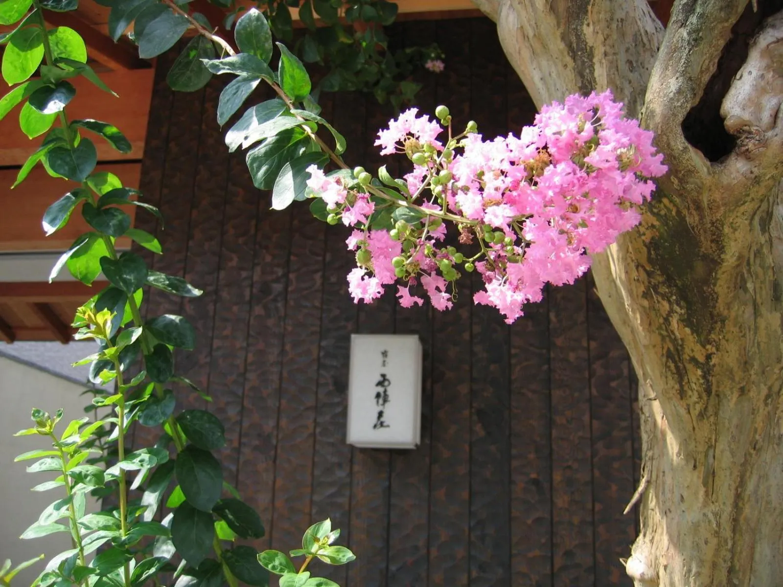 Property logo or sign in Yadoya Nishijinso