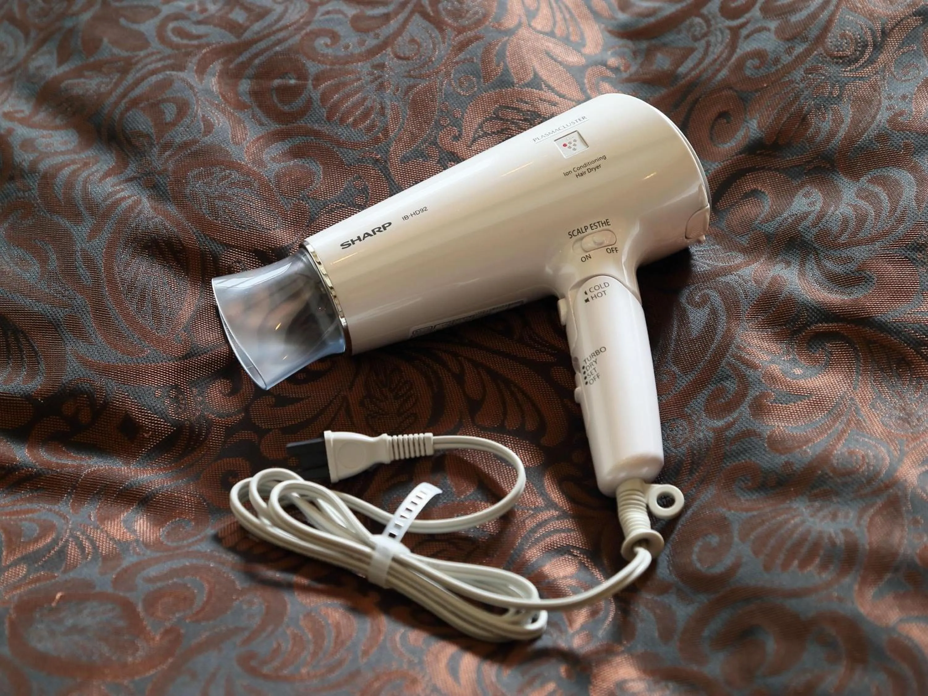 Other in Hotel Fine Biwako I