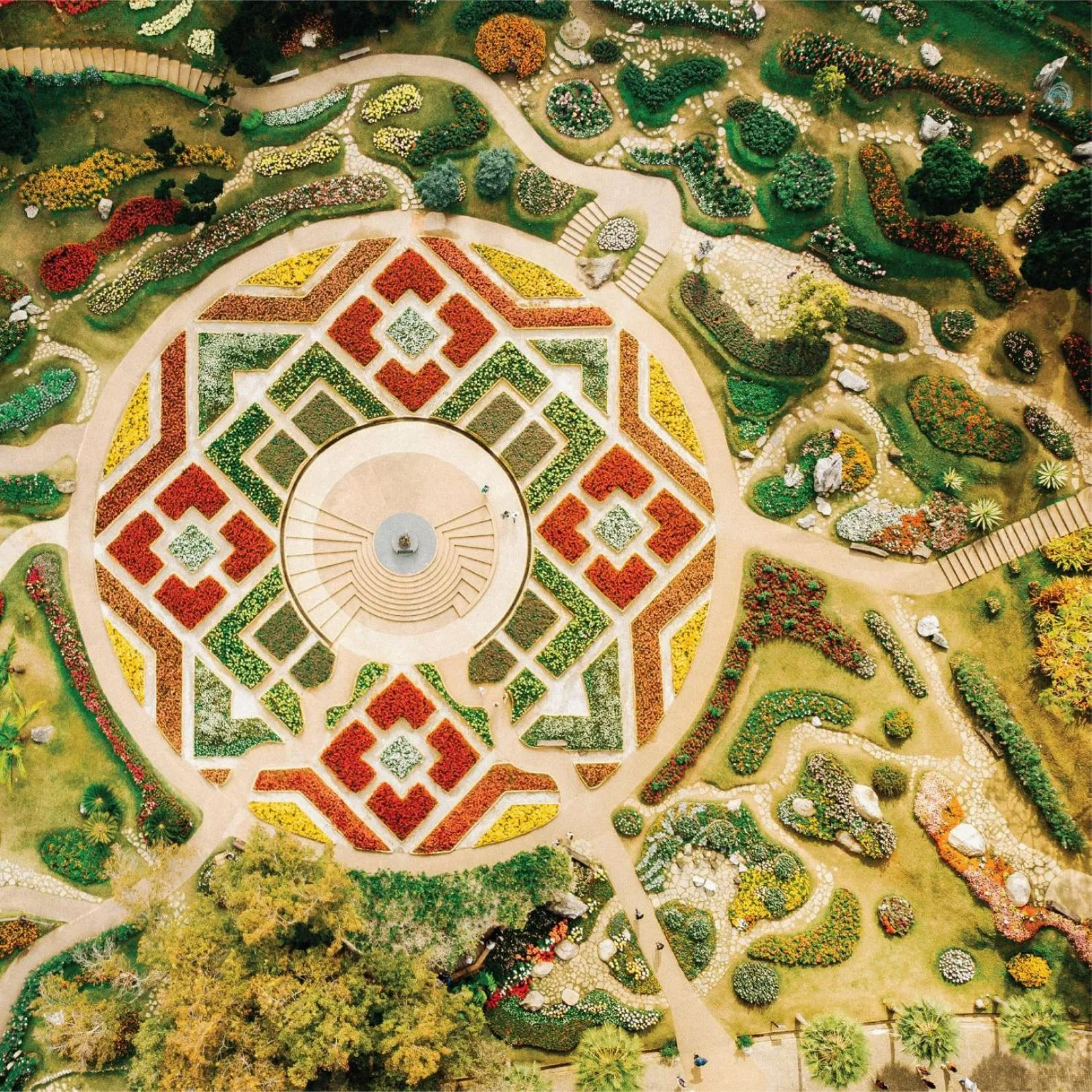 Neighbourhood in DoiTung Lodge