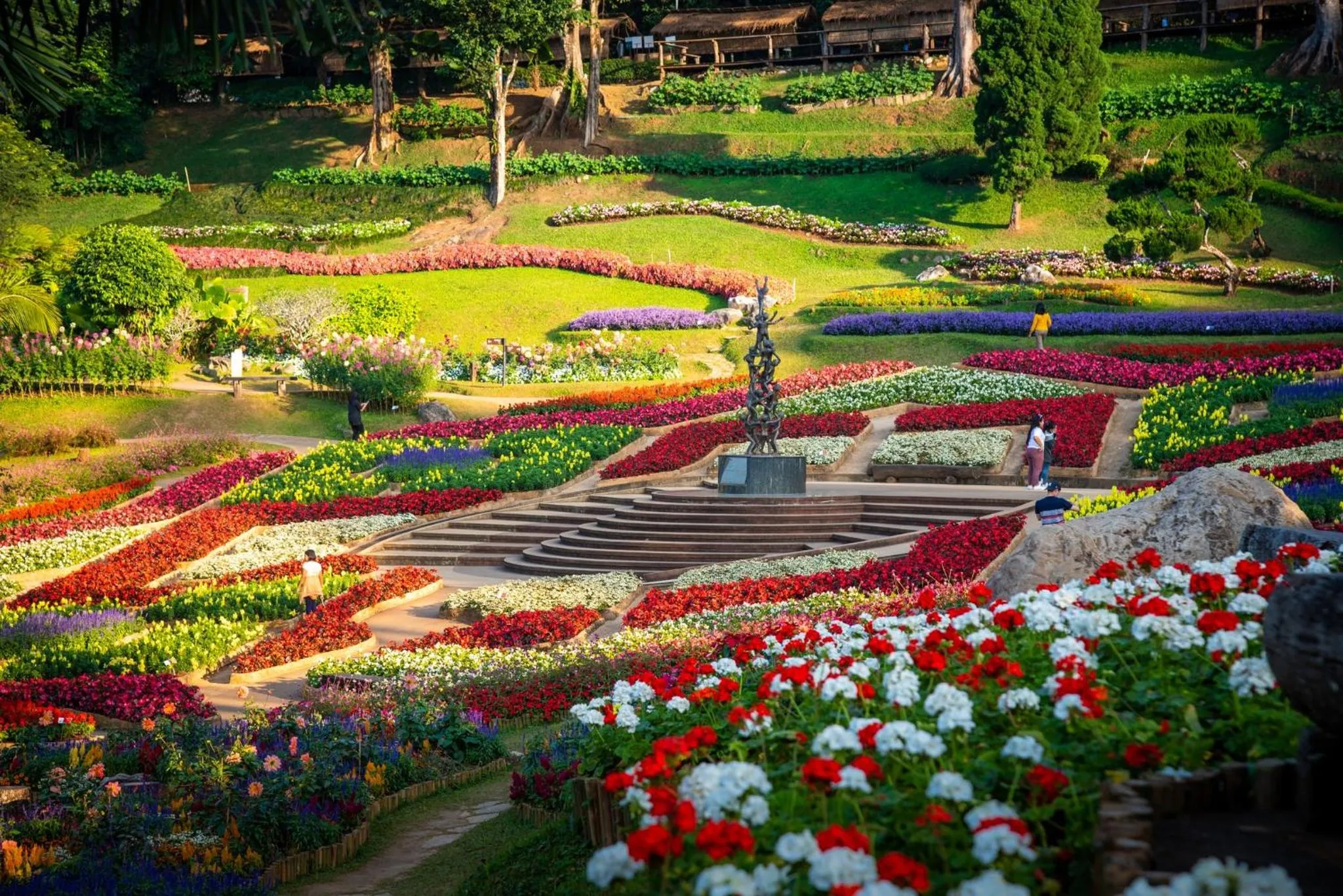 Neighbourhood in DoiTung Lodge