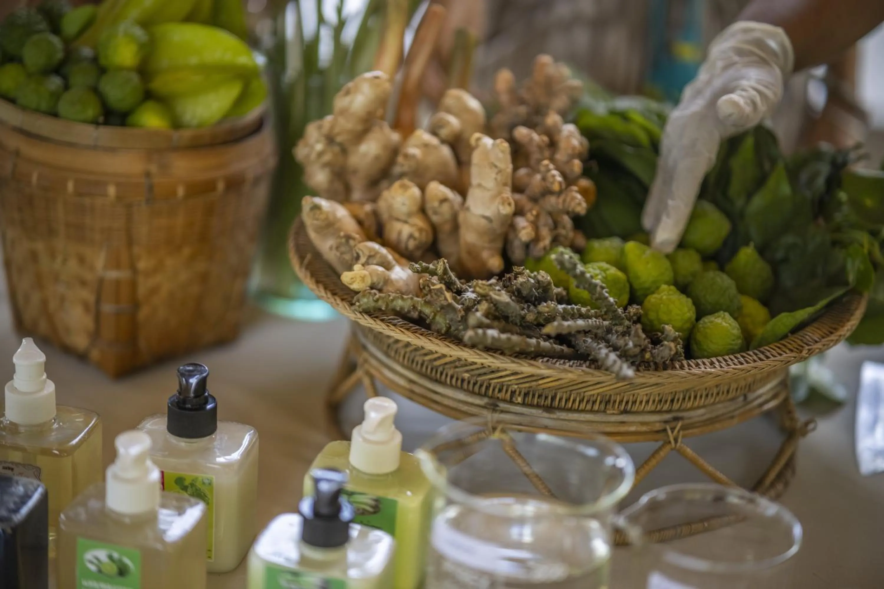 Activities in Ban's Diving Resort