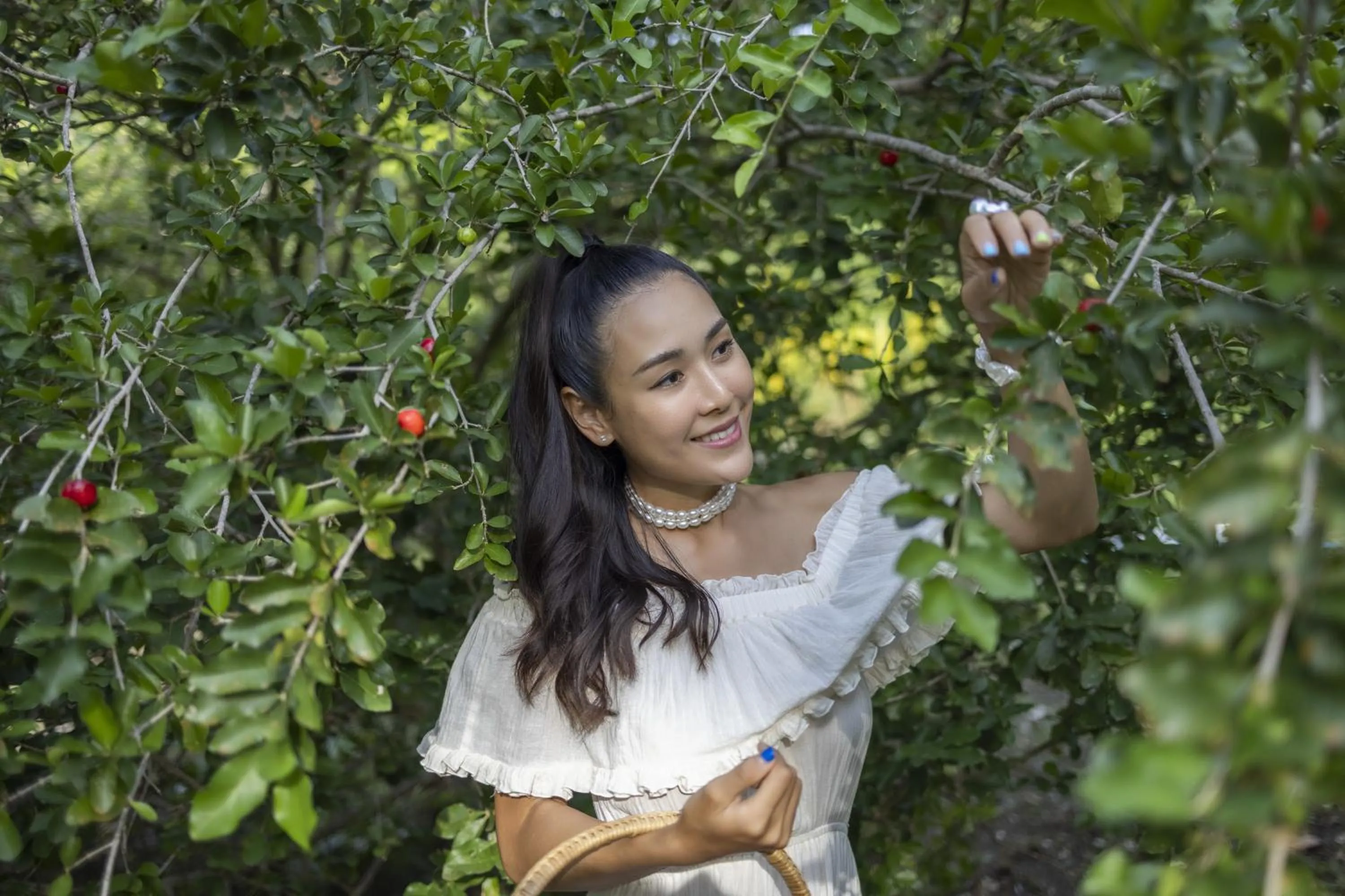 Garden in Ban's Diving Resort