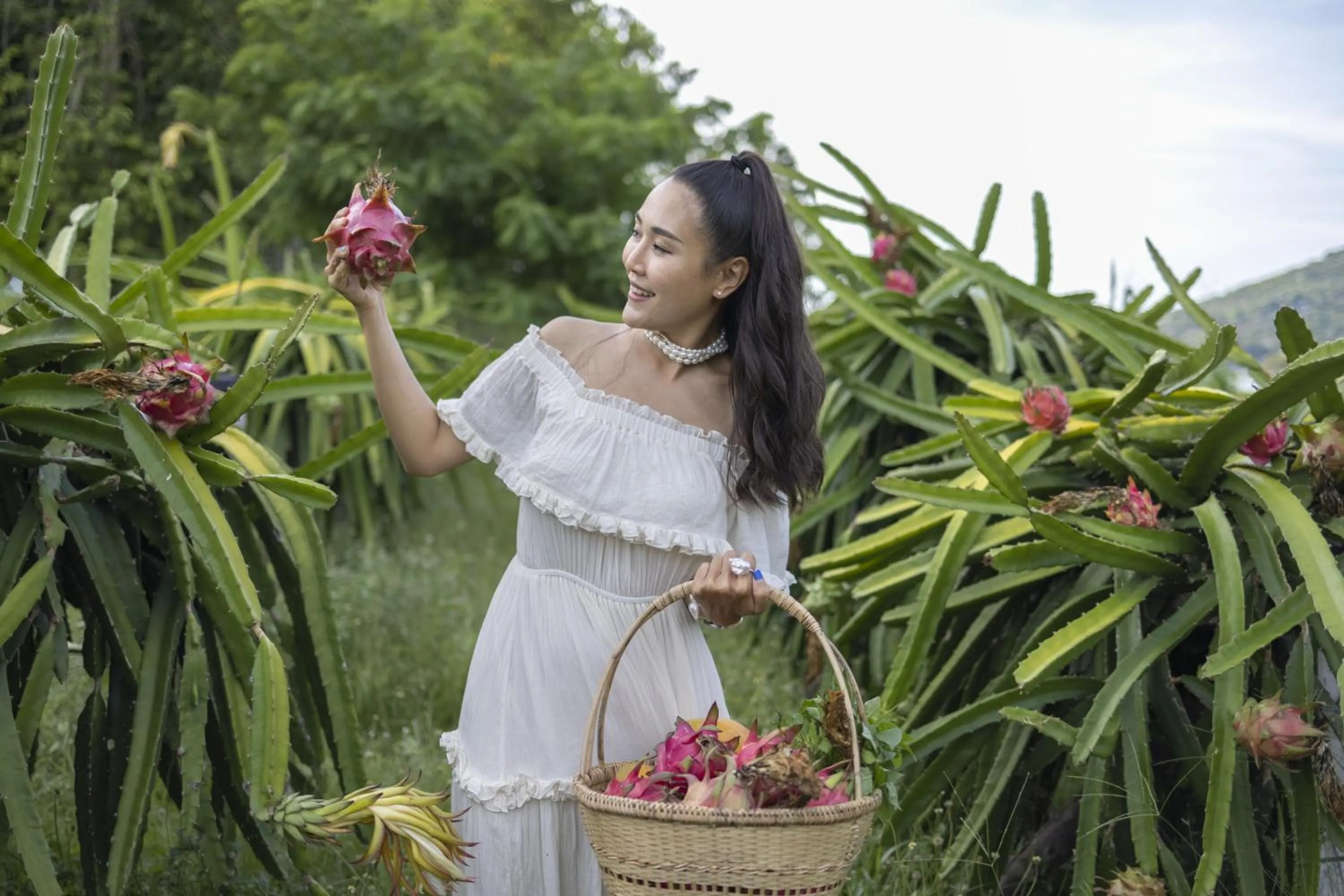 Garden in Ban's Diving Resort