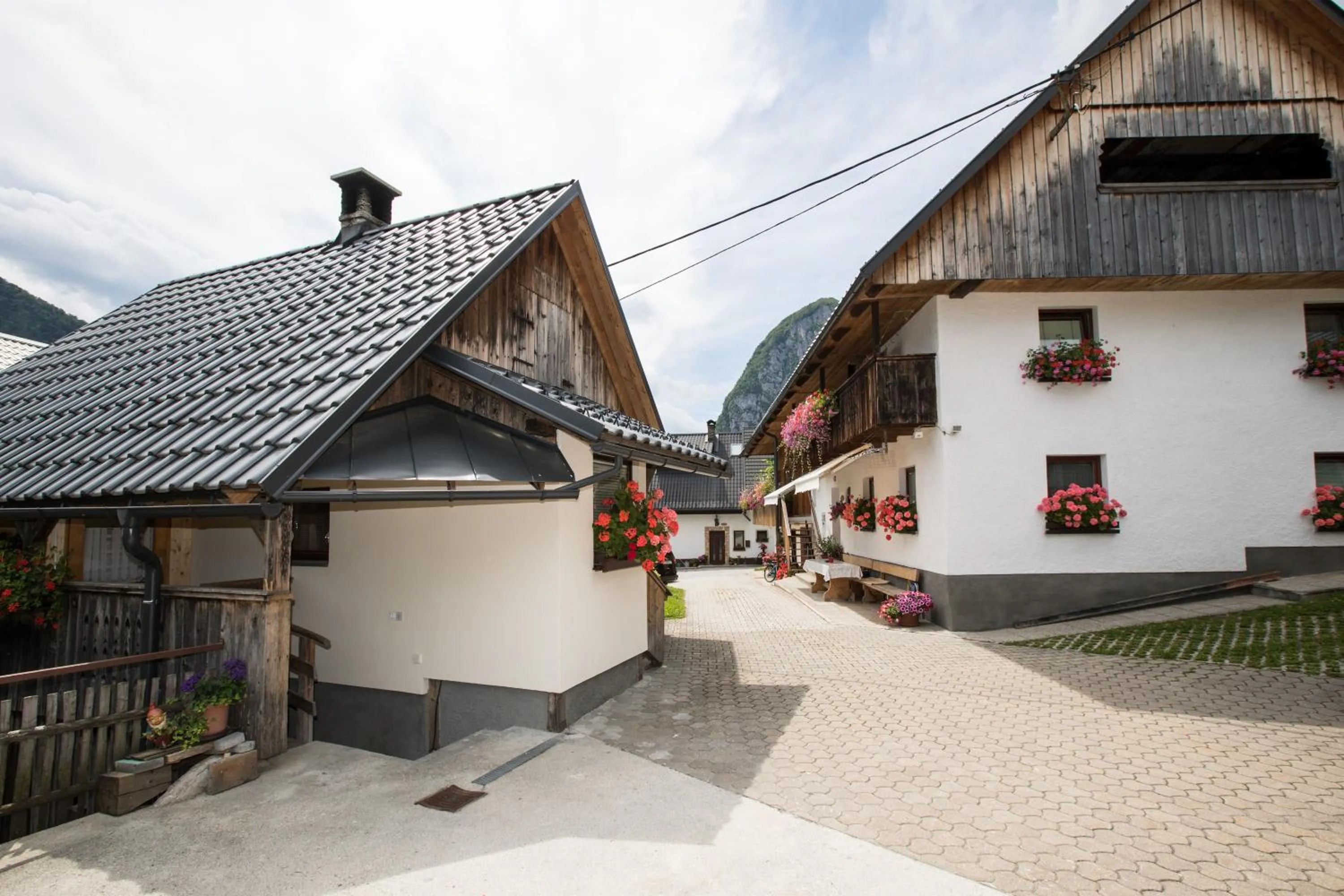 Apartments Kocjanc
