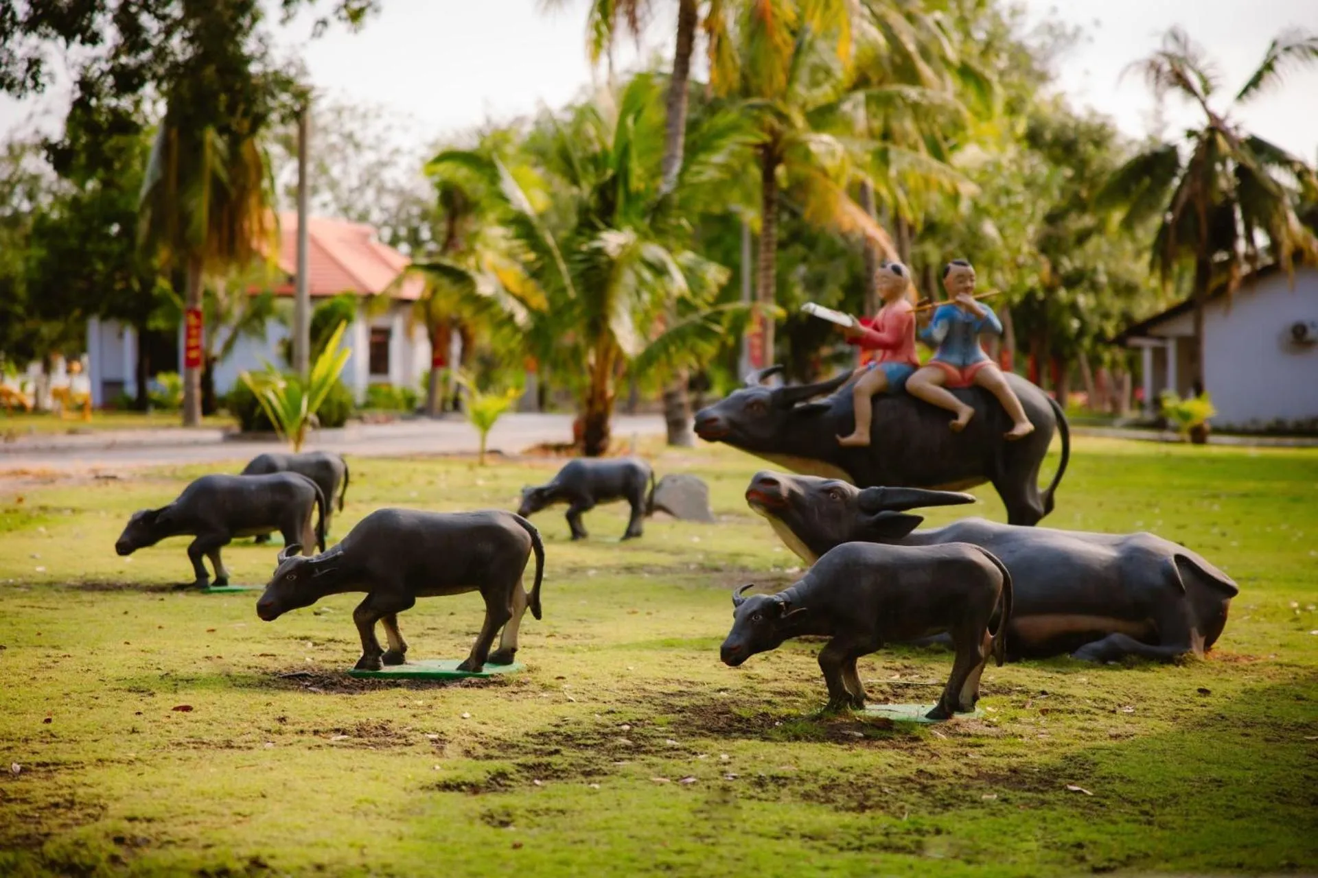 Natural landscape in Dat Lanh Beach Resort
