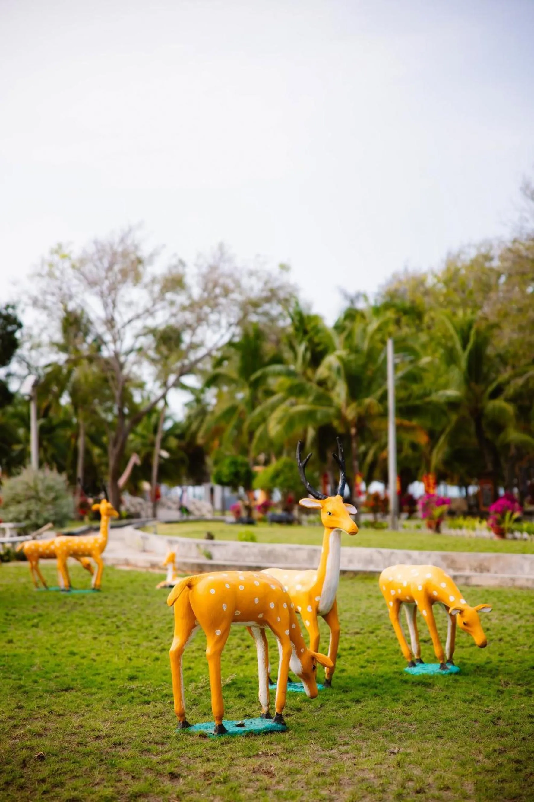 Day in Dat Lanh Beach Resort