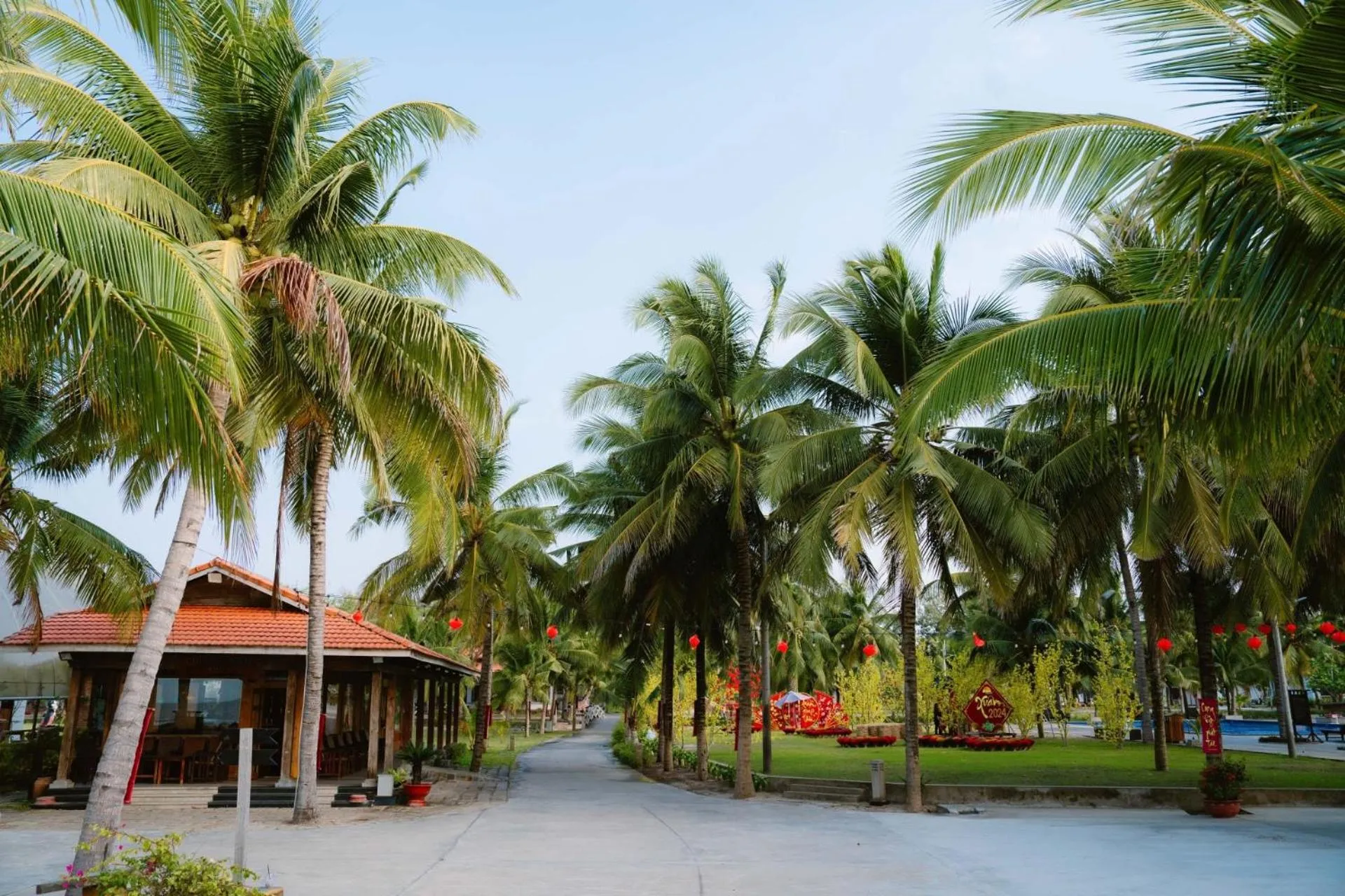 Spring in Dat Lanh Beach Resort