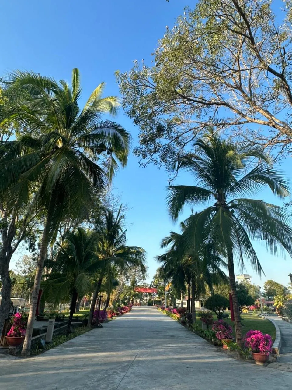 Spring in Dat Lanh Beach Resort