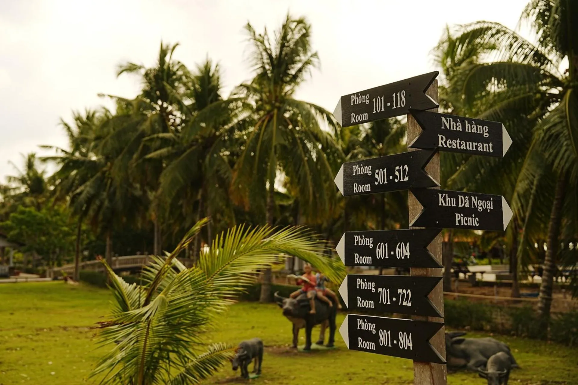 Dat Lanh Beach Resort