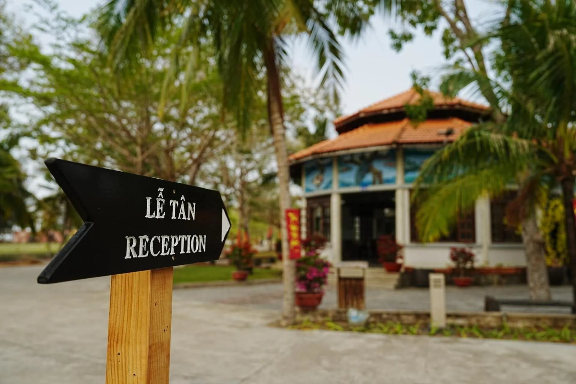 Dat Lanh Beach Resort