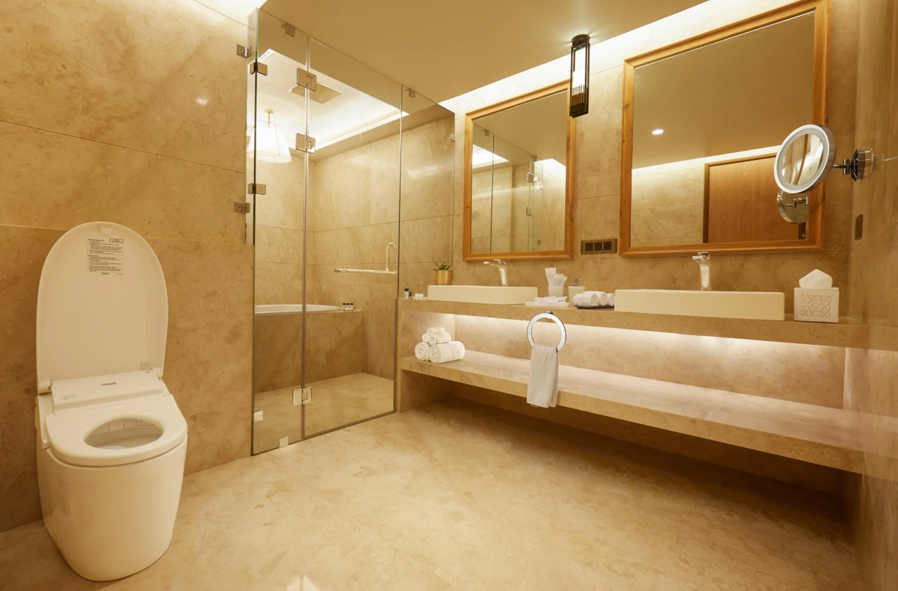 Toilet in The Residency Towers