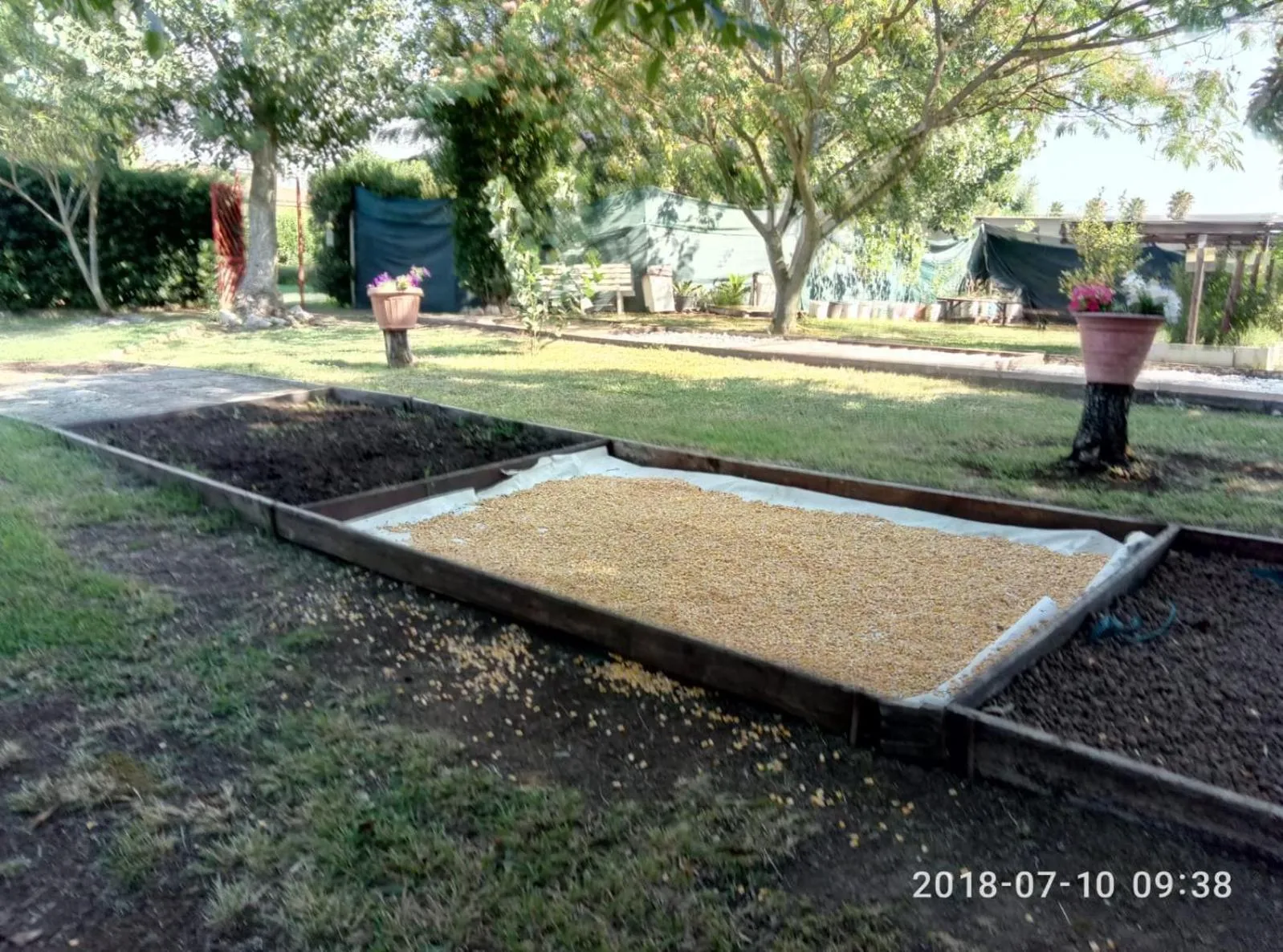 Area and facilities in casadolcecasalatina