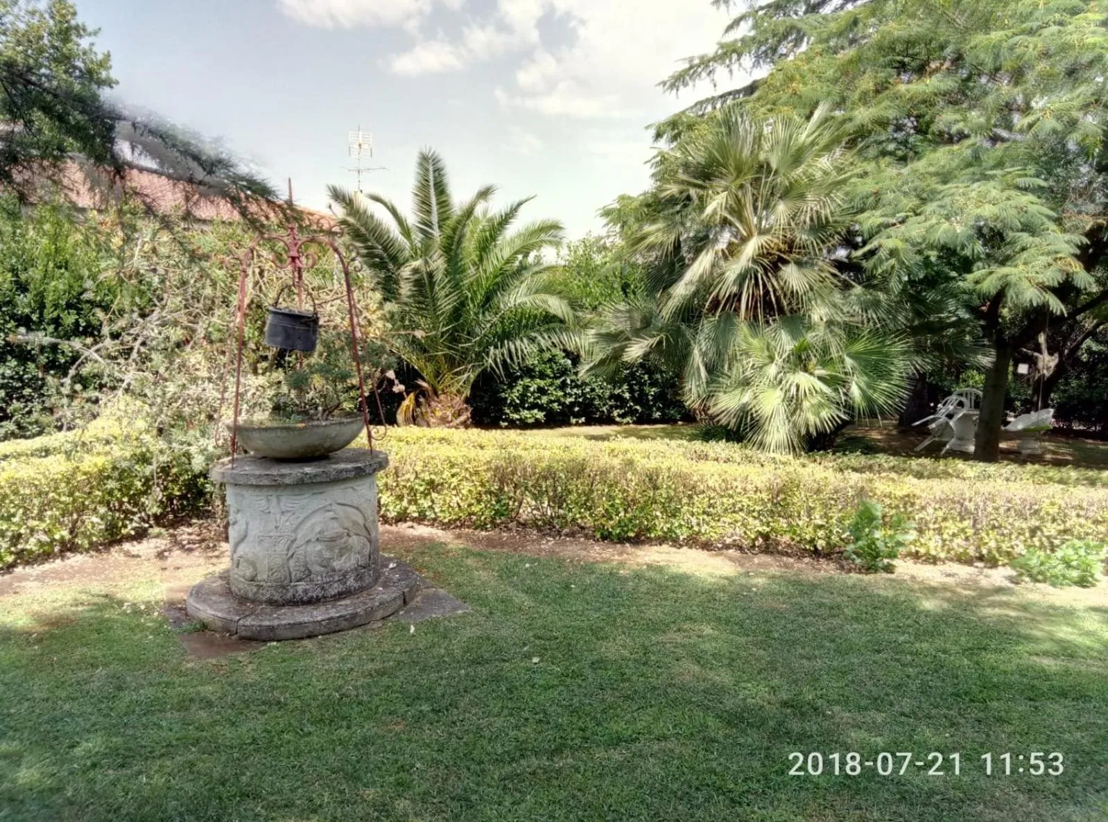 Garden in casadolcecasalatina