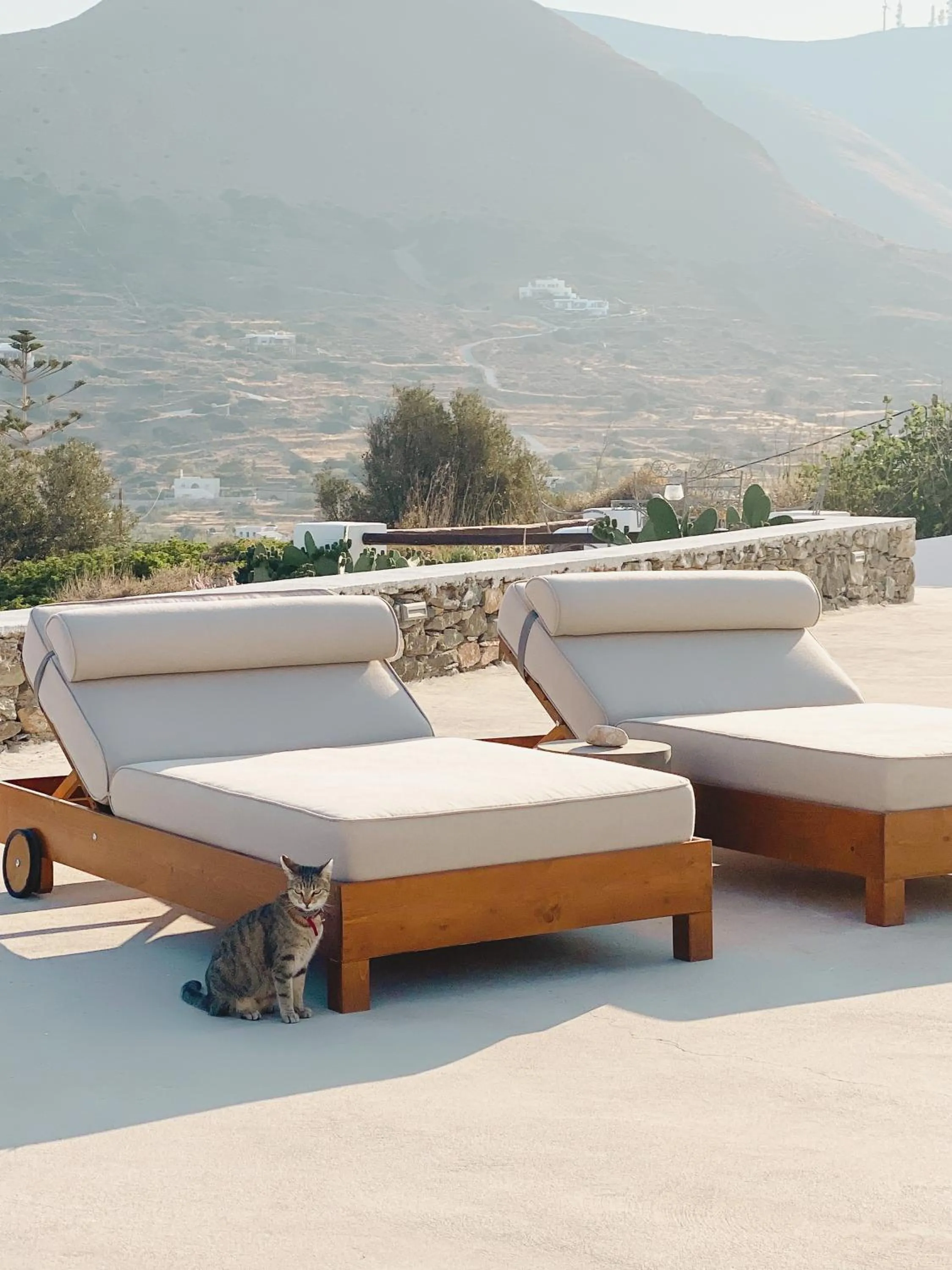 Mountain view in Pino di Loto Boutique Bed & Breakfast